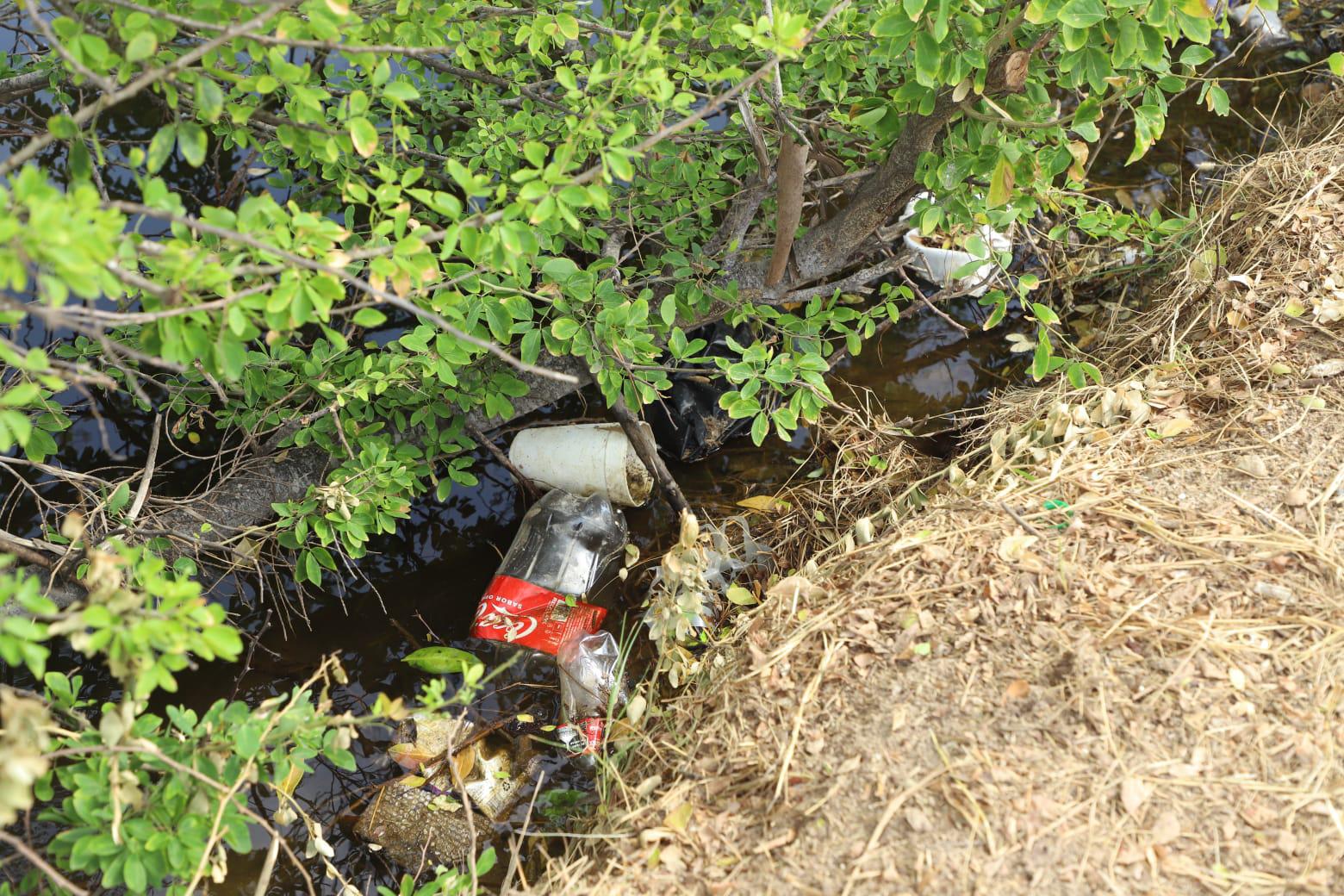 $!‘Héroes por el Océano’ limpian playa y Estero del Yugo, en Mazatlán