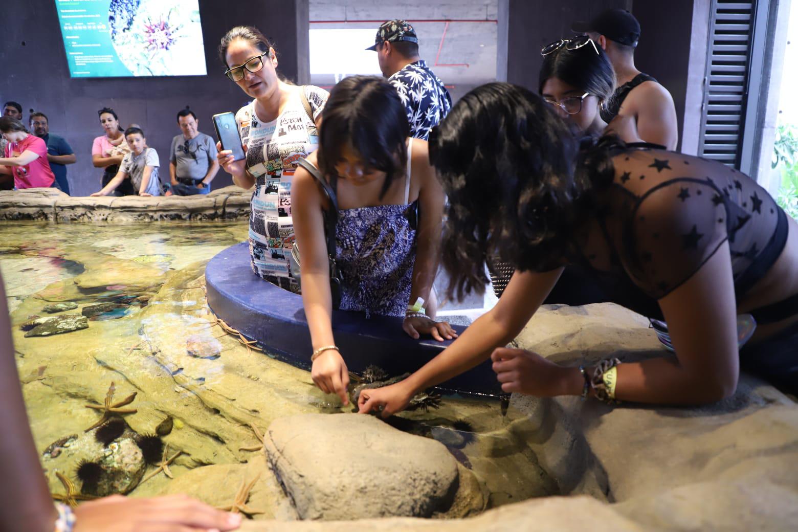 $!Visitan el Gran Acuario Mazatlán en su primer domingo abierto al público