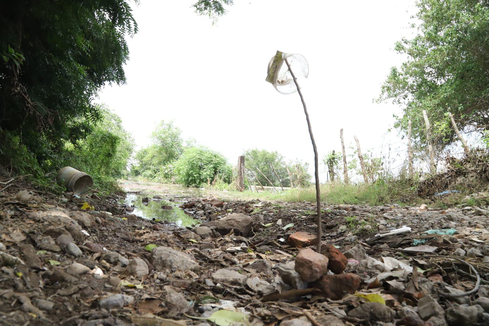 $!Mantiene nivel la creciente del Río Presidio en El Walamo