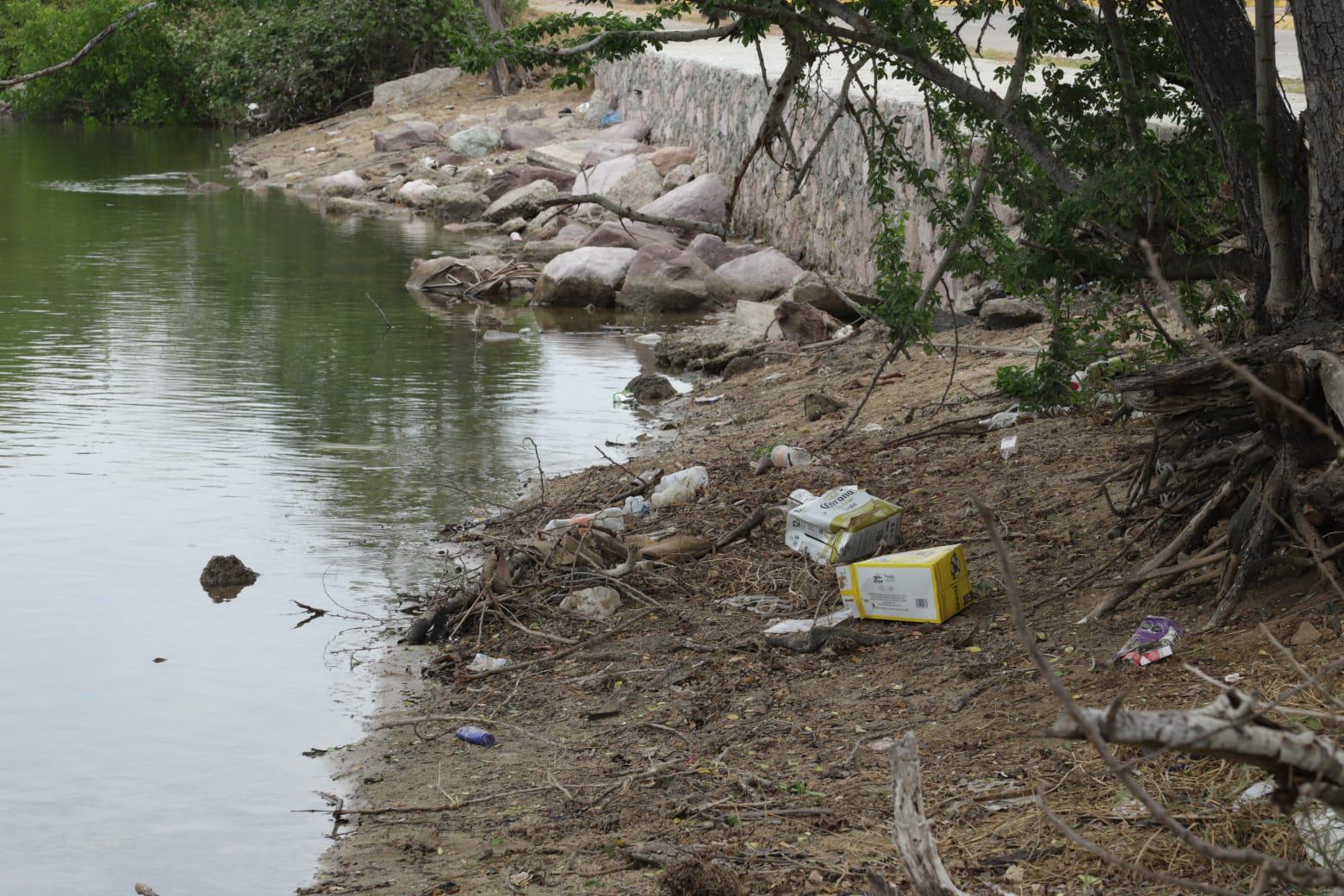 $!Denuncian contaminación en desembocadura del Estero del Yugo