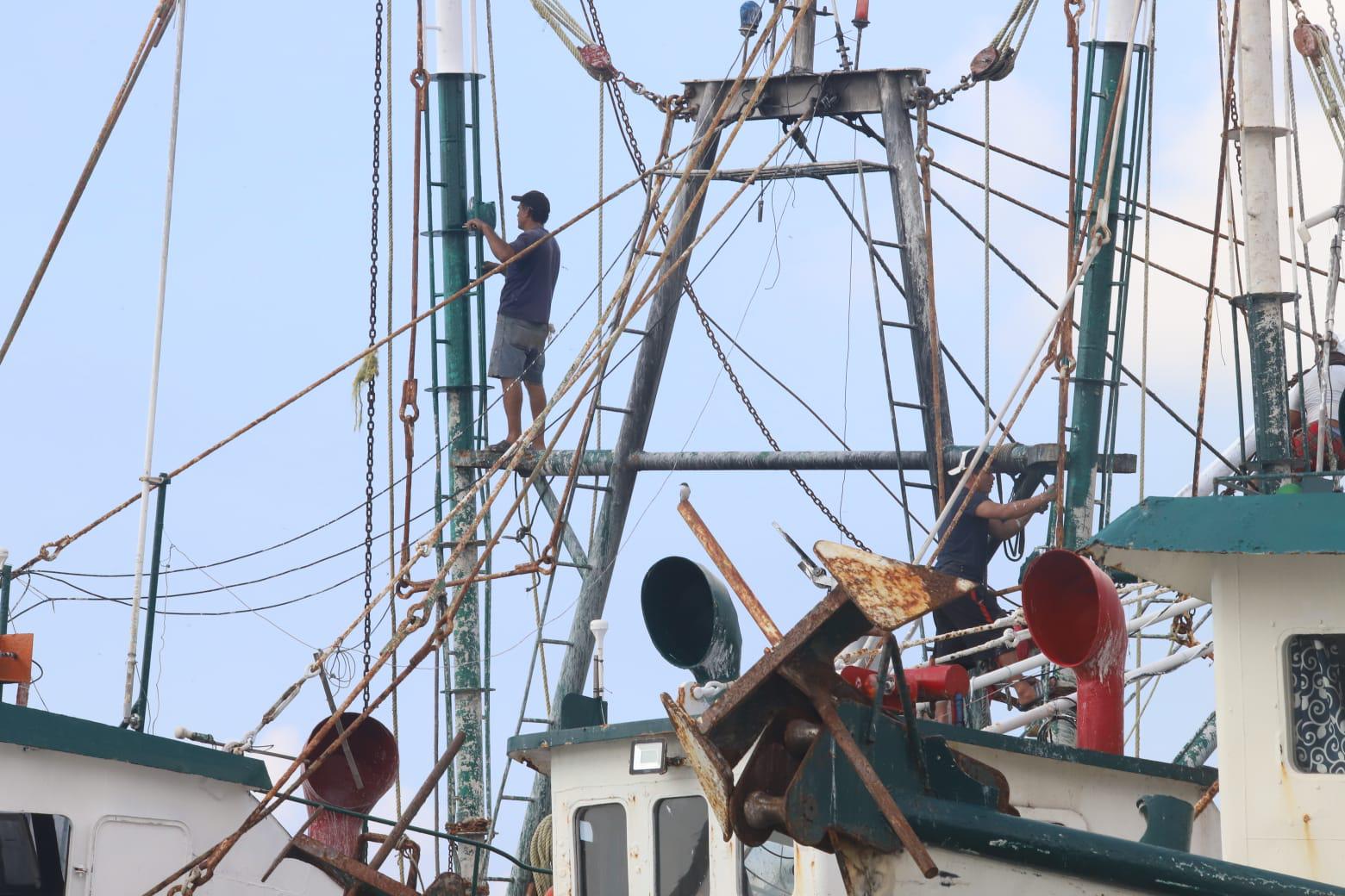 $!Retrasan avituallamiento de embarcaciones en Mazatlán por extensión de veda de camarón