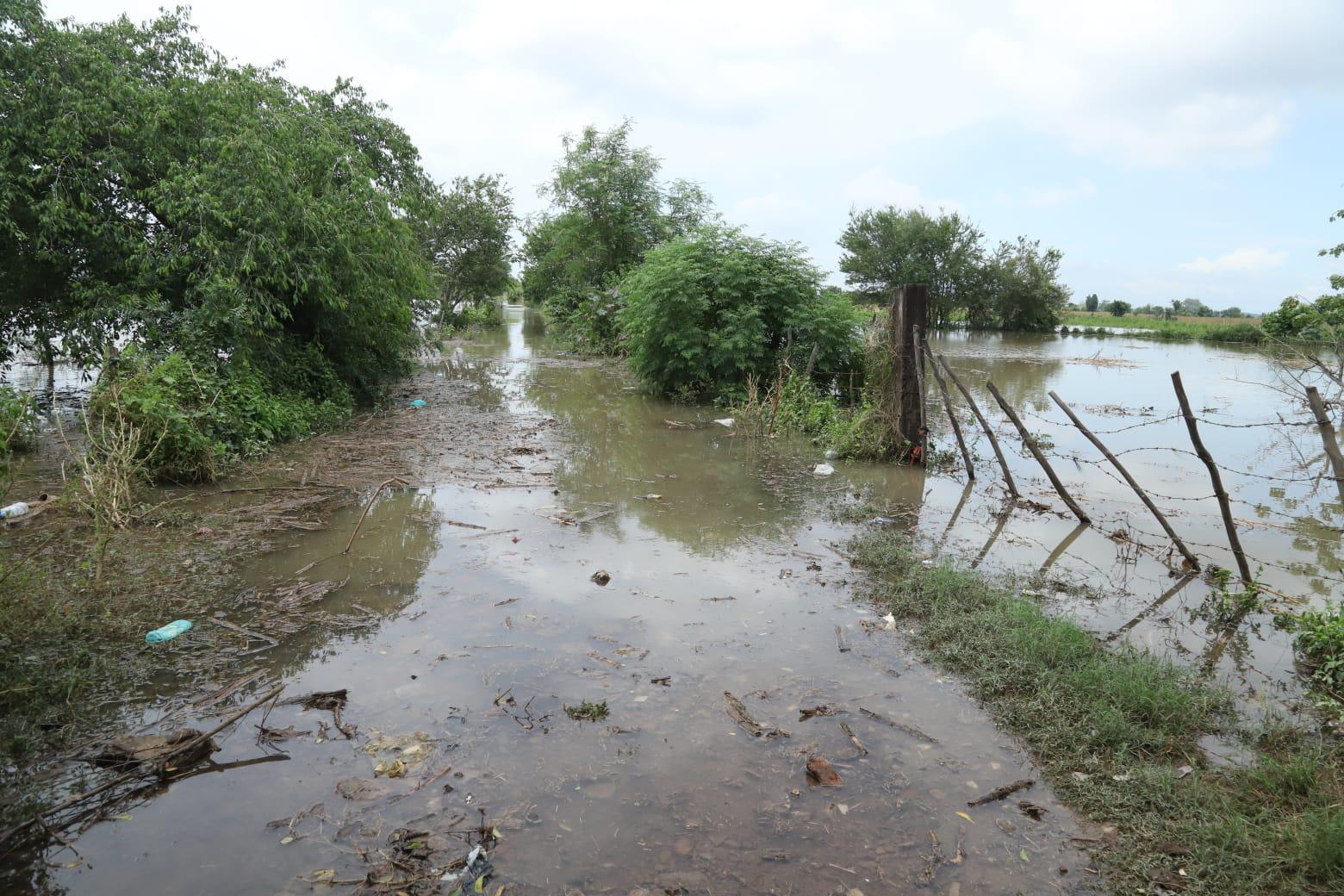 $!Mantiene nivel la creciente del Río Presidio en El Walamo