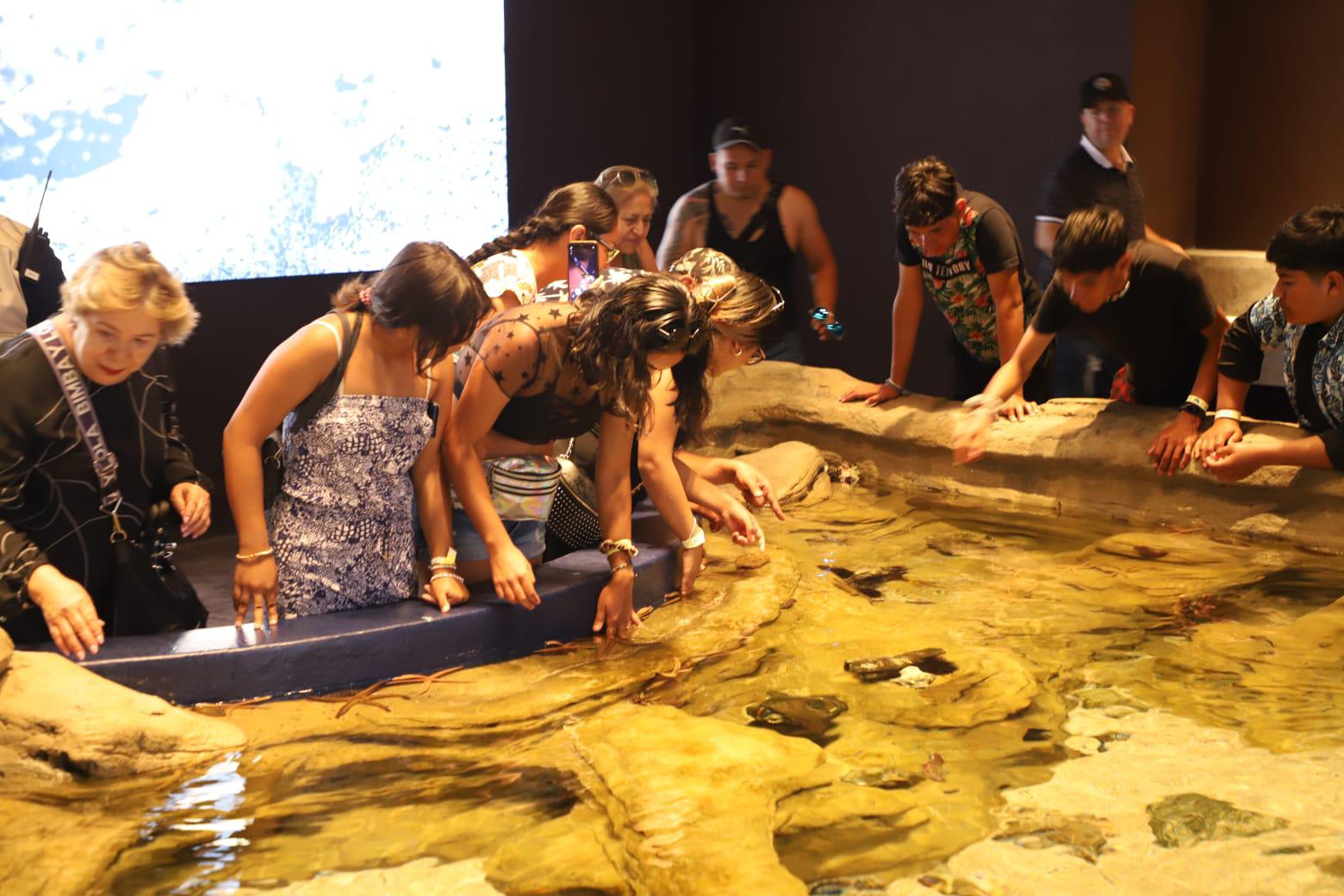 $!Visitan el Gran Acuario Mazatlán en su primer domingo abierto al público