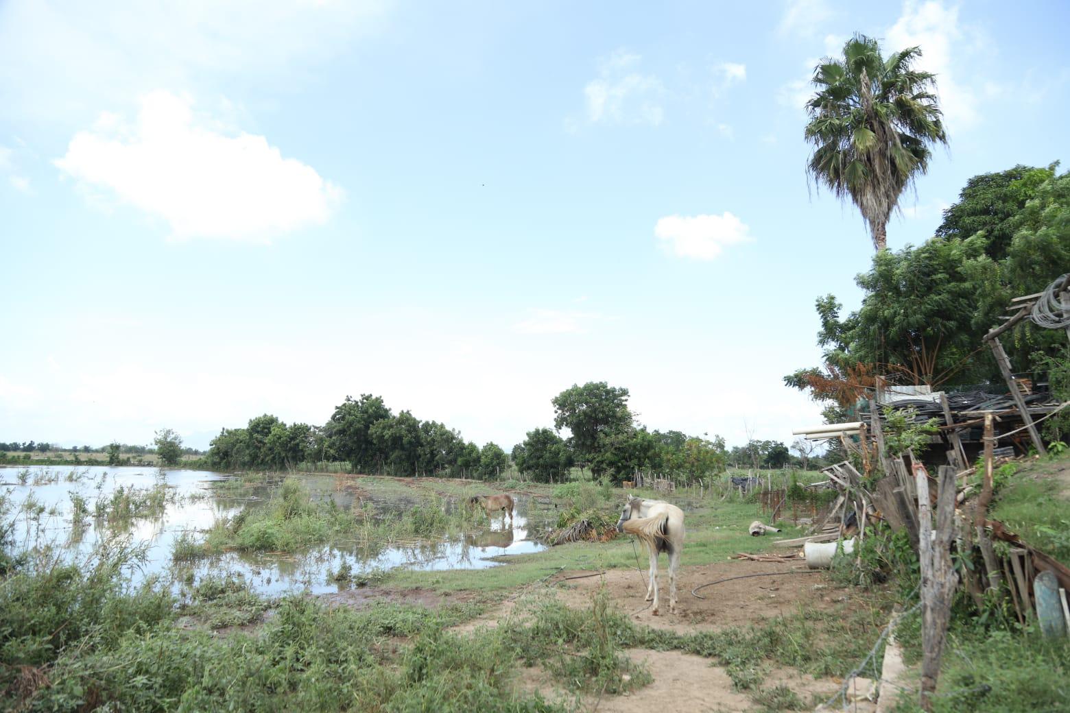 $!Mantiene nivel la creciente del Río Presidio en El Walamo