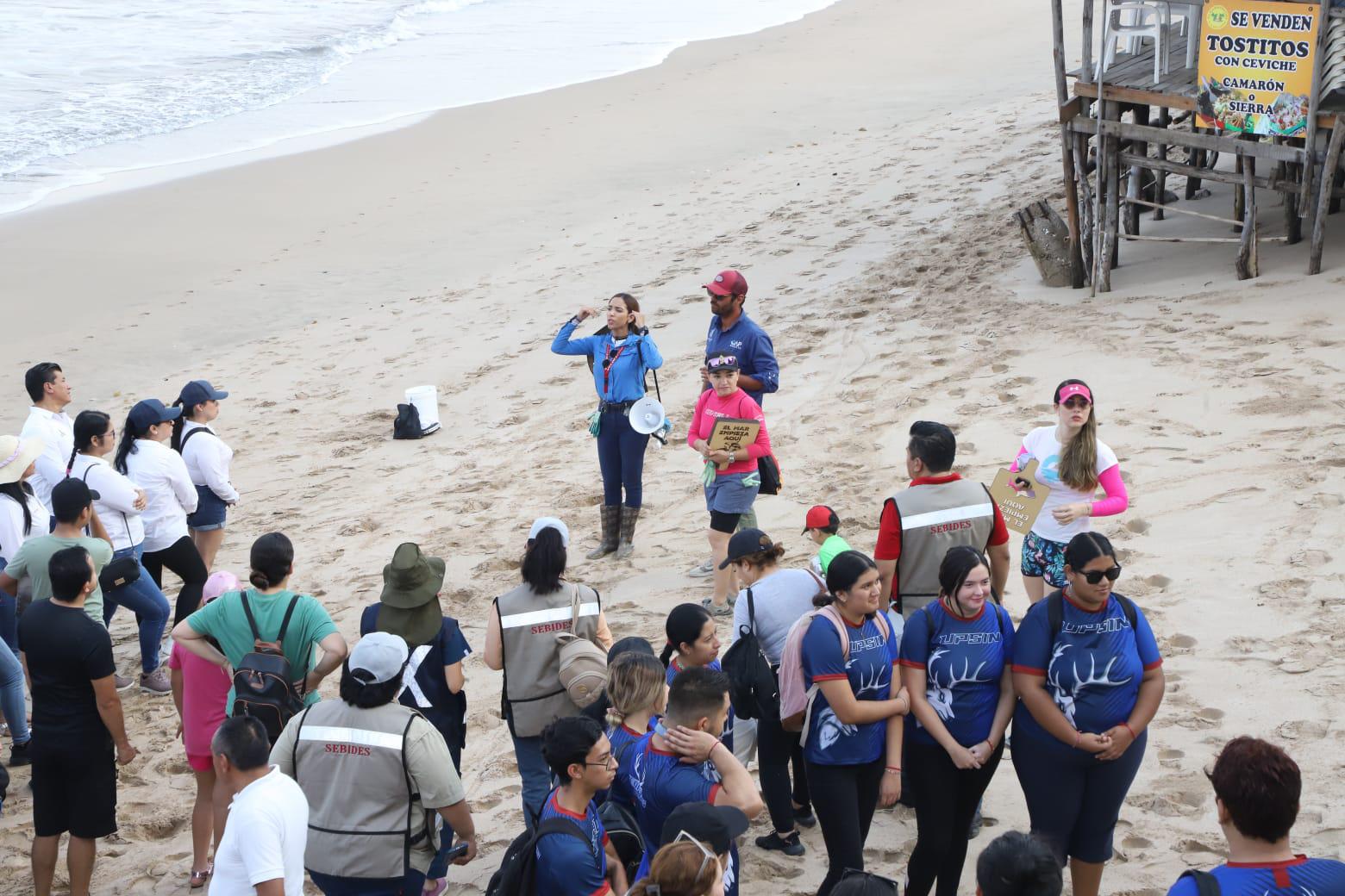 $!Celebran el Día Mundial de los Océanos con mega limpieza de playas, en Mazatlán