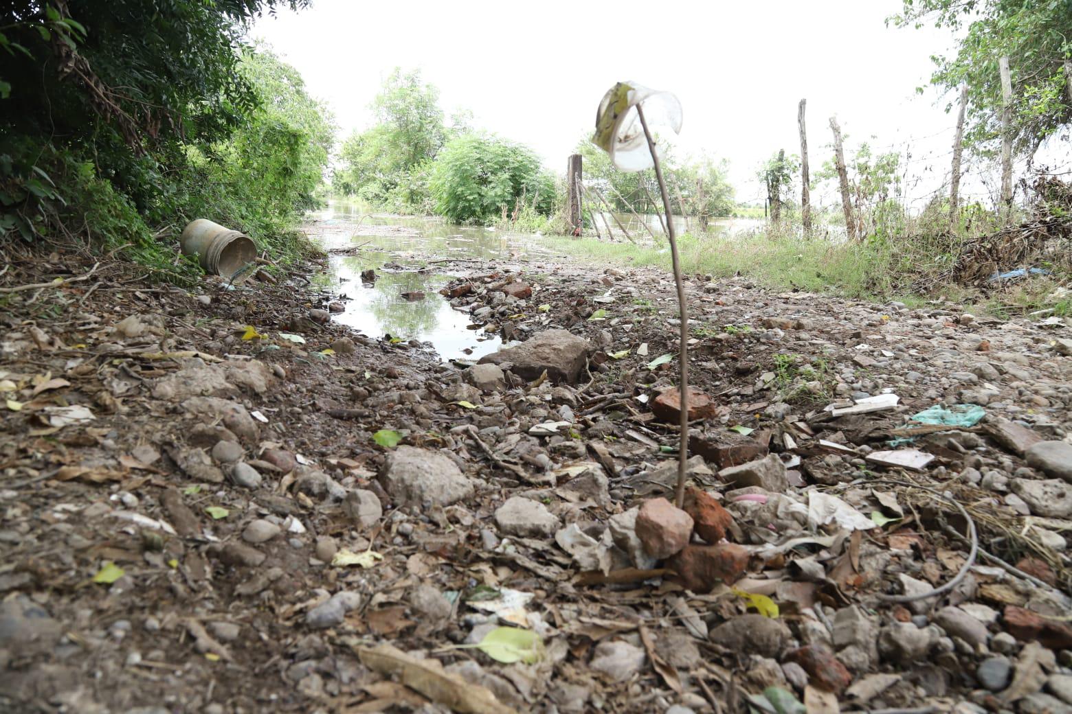 $!Mantiene nivel la creciente del Río Presidio en El Walamo