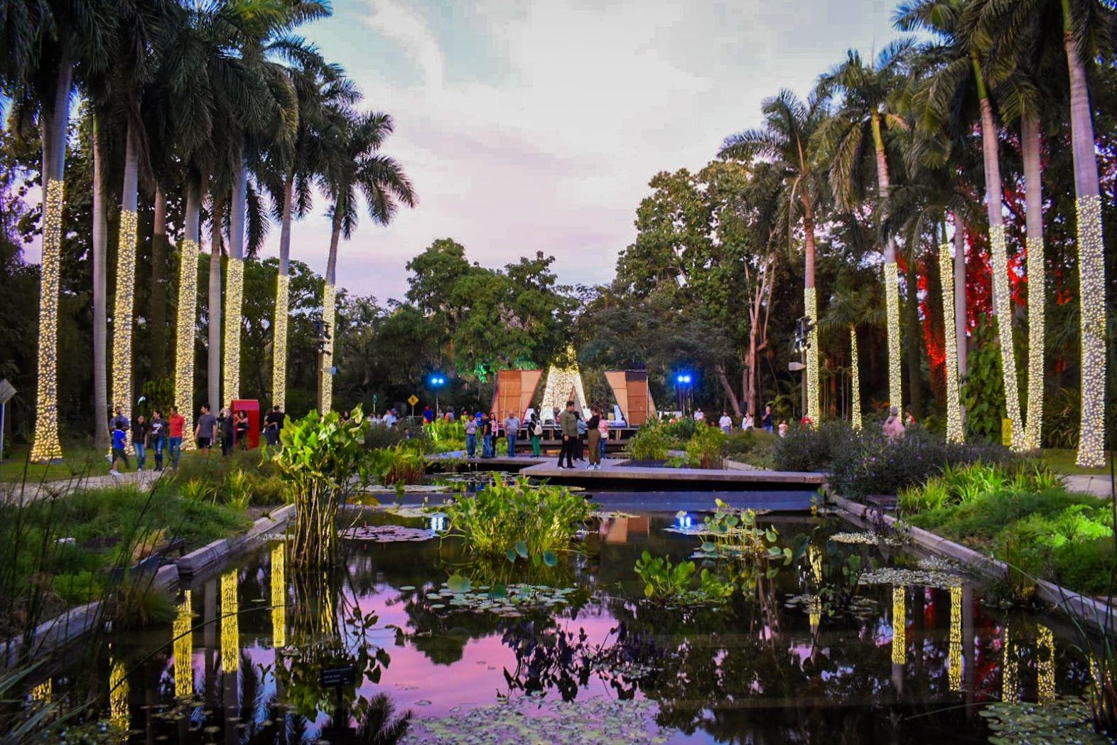 $!Abren las puertas de la Navidad en el Jardín Botánico de Culiacán con encendido de luces