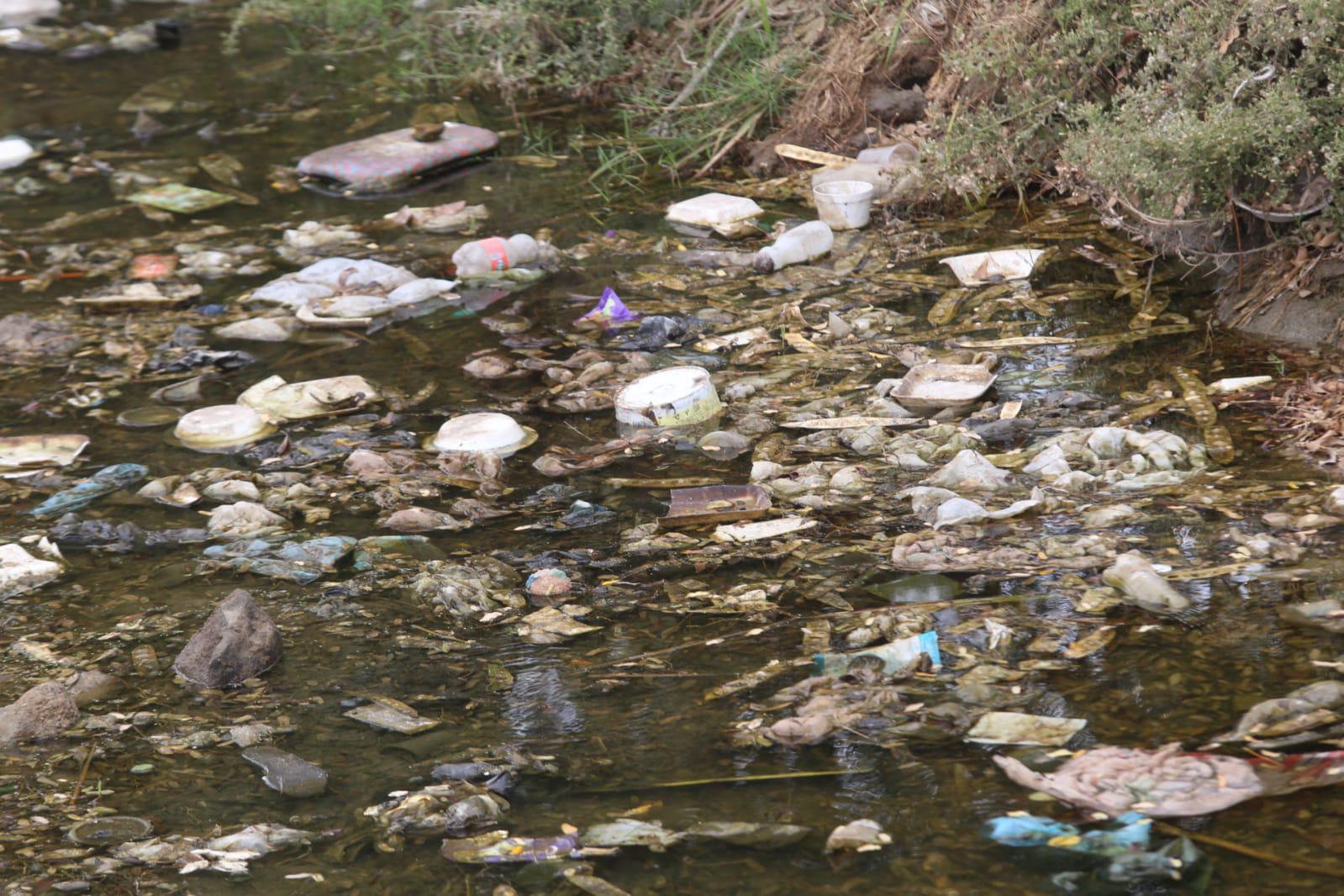 $!Arroyo Jabalines y otros cuerpos de agua están llenos de maleza y basura en Mazatlán