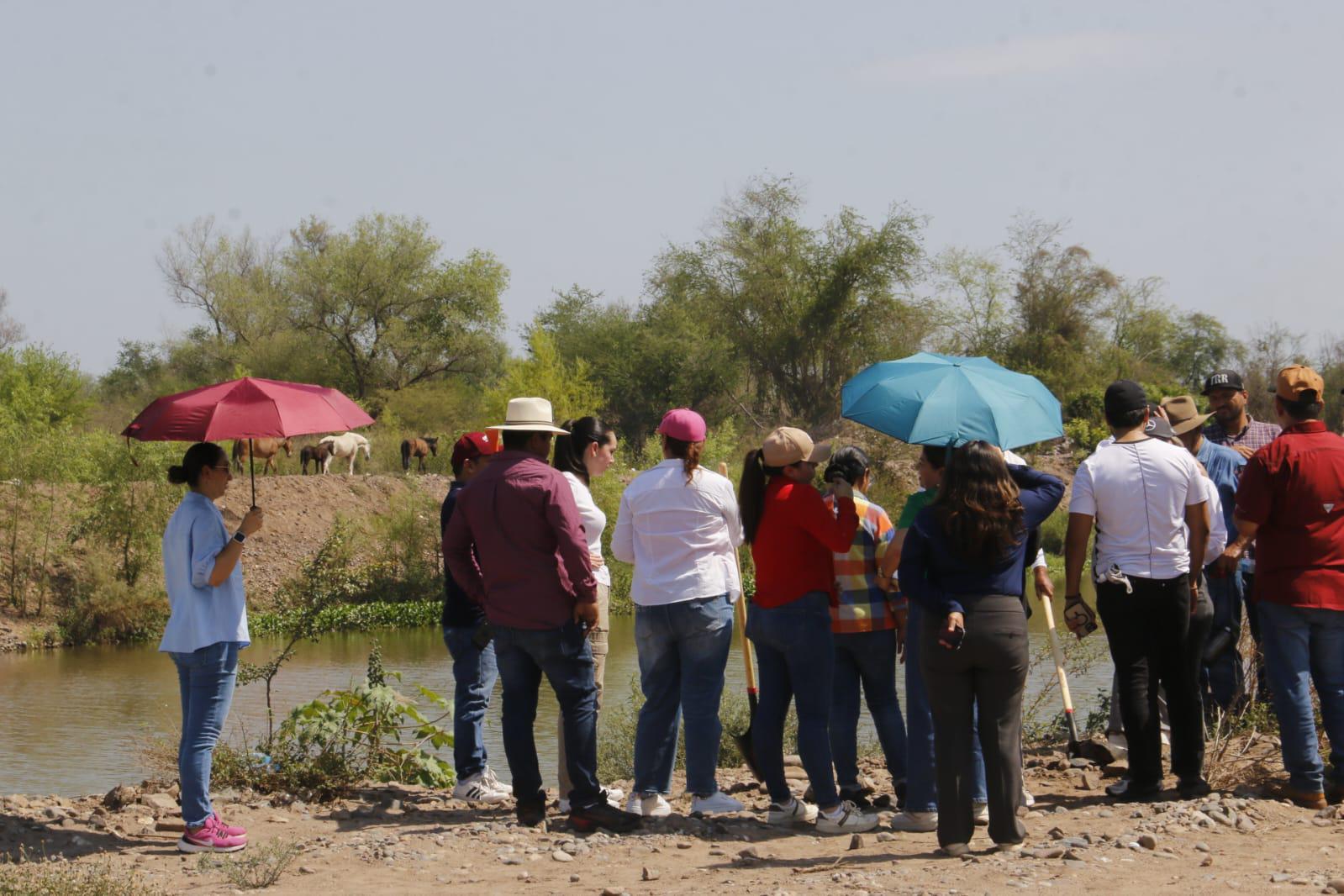 $!Arranca arborización en Sinaloa; serán plantados 40 mil y se firmará convenio por otros 70 mil