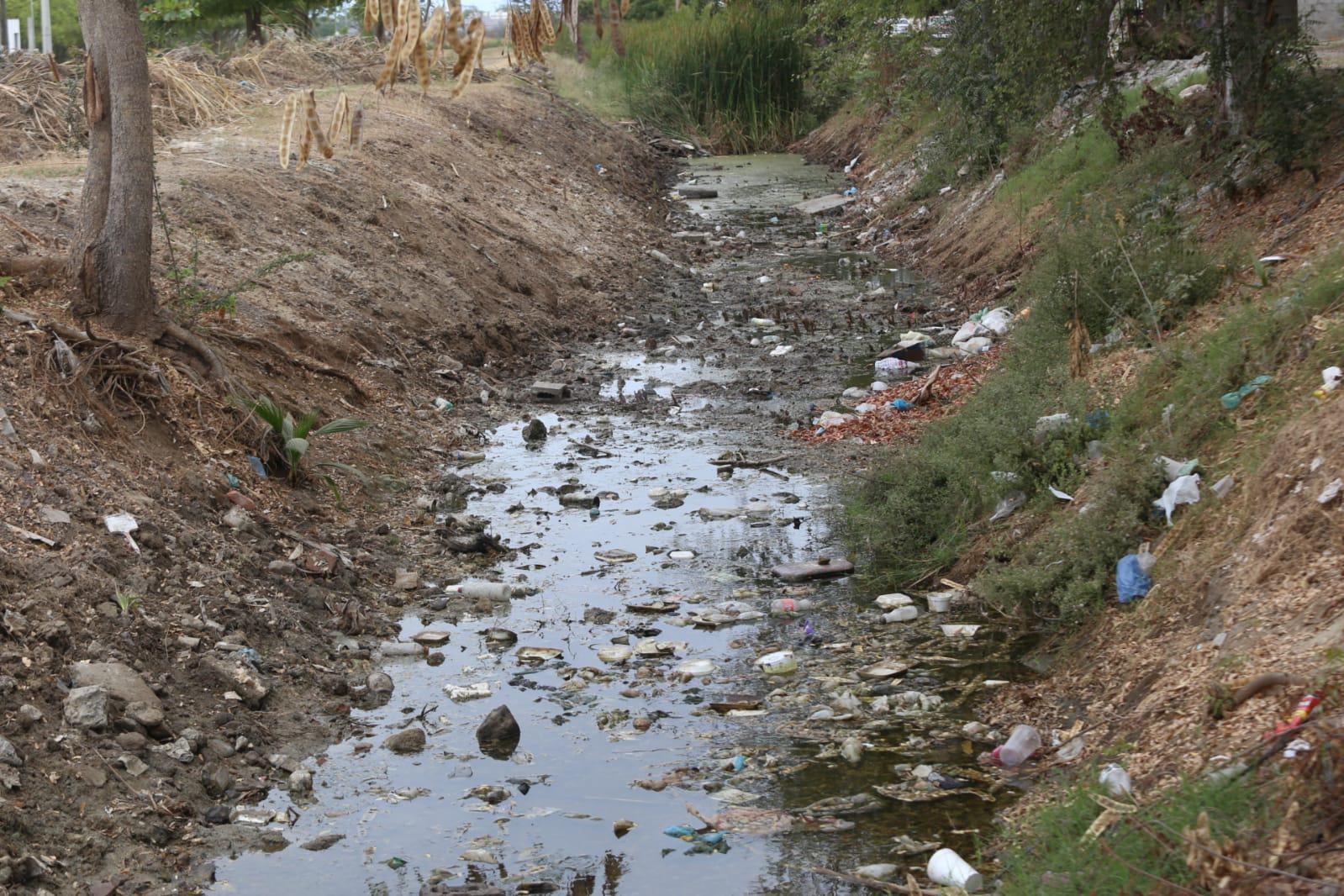 $!Arroyo Jabalines y otros cuerpos de agua están llenos de maleza y basura en Mazatlán