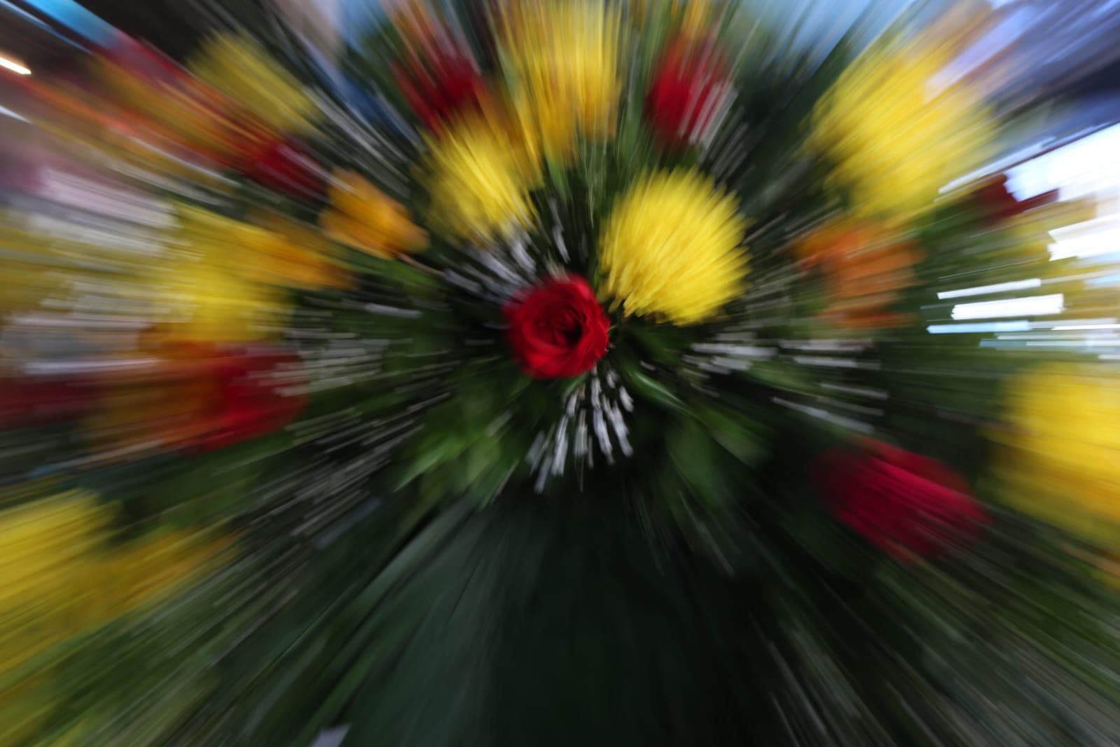 $!Se desata venta de flores amarillas en Mazatlán; significan cariño, amor o vida juntos