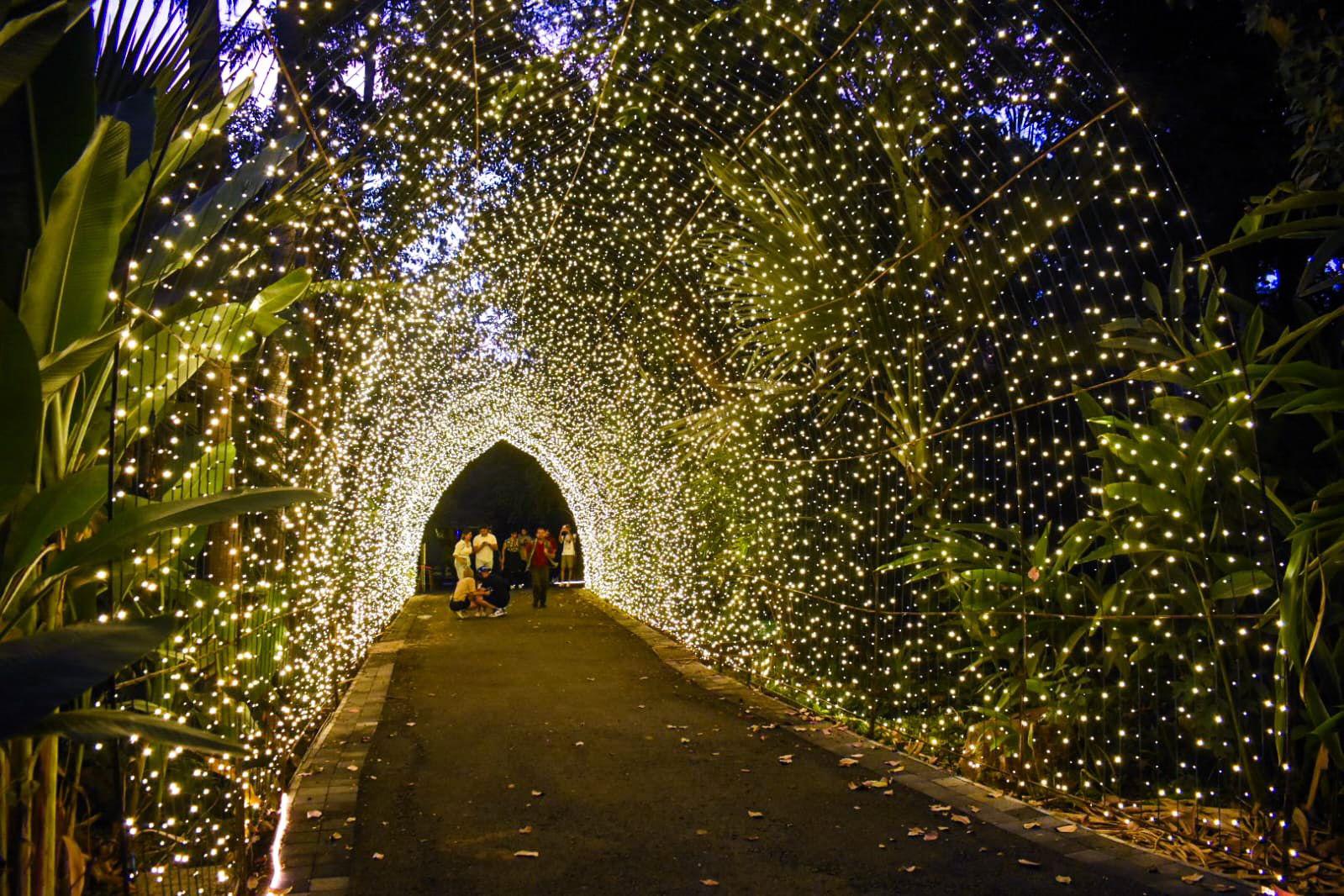 $!Abren las puertas de la Navidad en el Jardín Botánico de Culiacán con encendido de luces