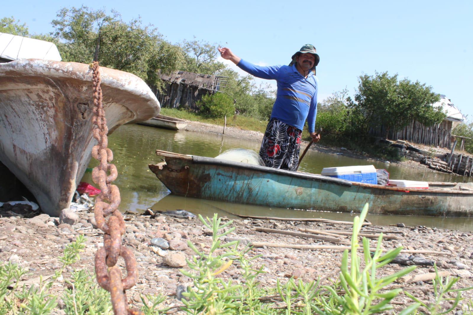 $!La falta de agua dulce genera mortandad en El Caimanero y ‘truena’ temporada de pesca