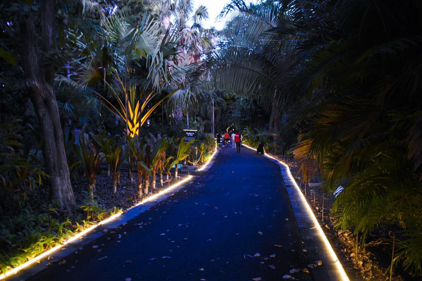 $!Abren las puertas de la Navidad en el Jardín Botánico de Culiacán con encendido de luces