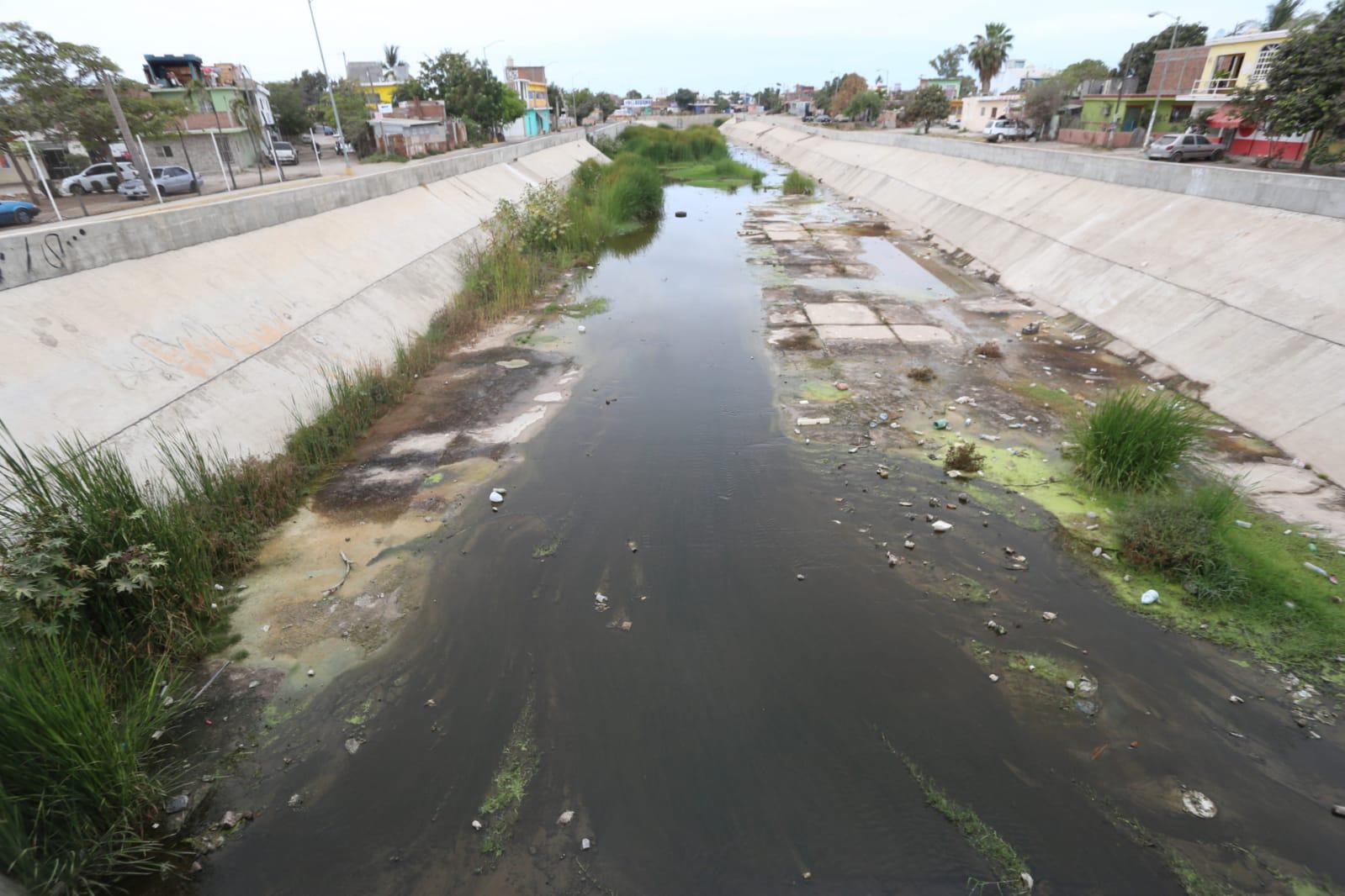 $!Arroyo Jabalines y otros cuerpos de agua están llenos de maleza y basura en Mazatlán