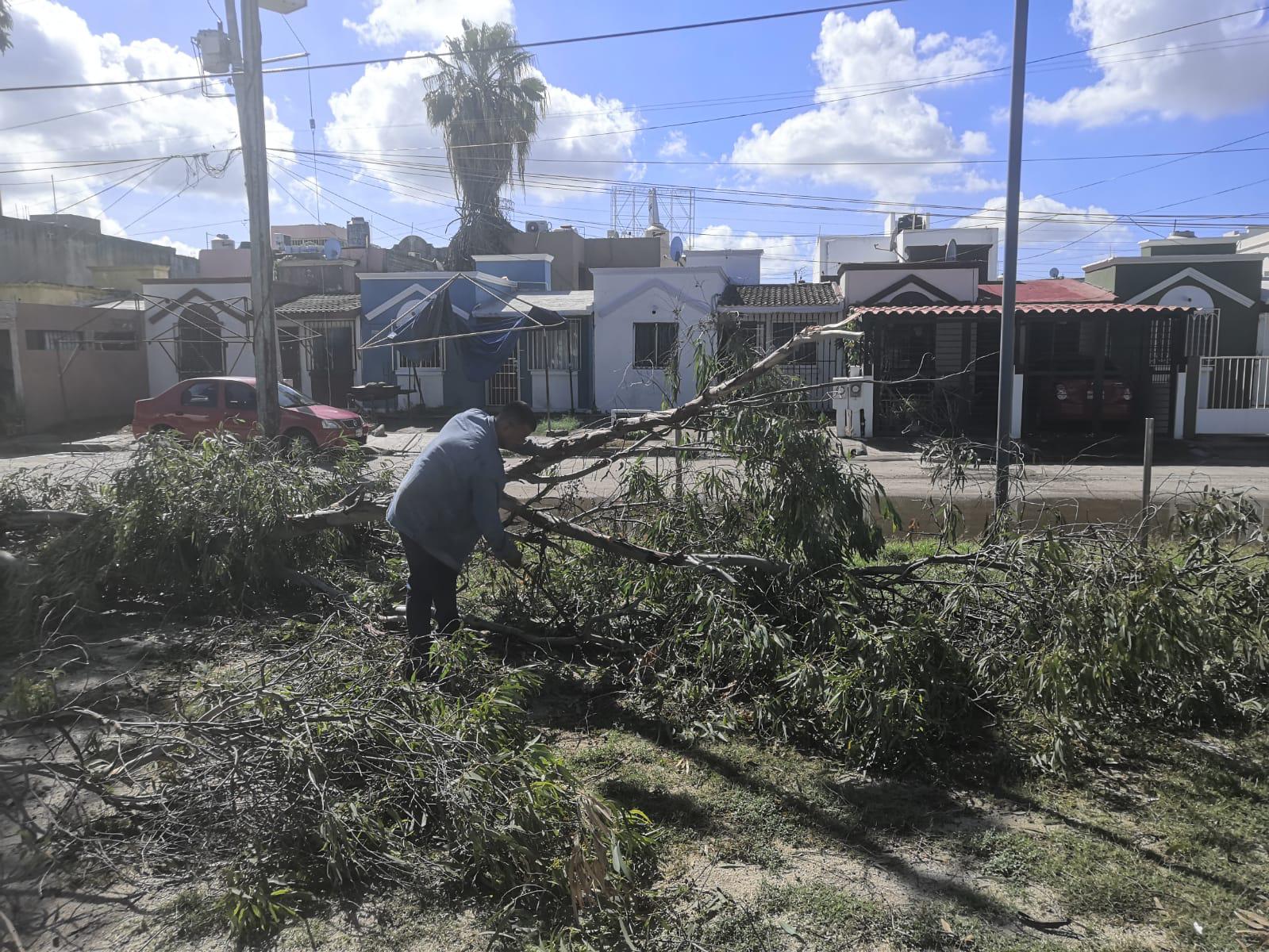 $!Rehabilitan y limpian espacios deportivos de Mazatlán tras el paso de ‘Pamela’