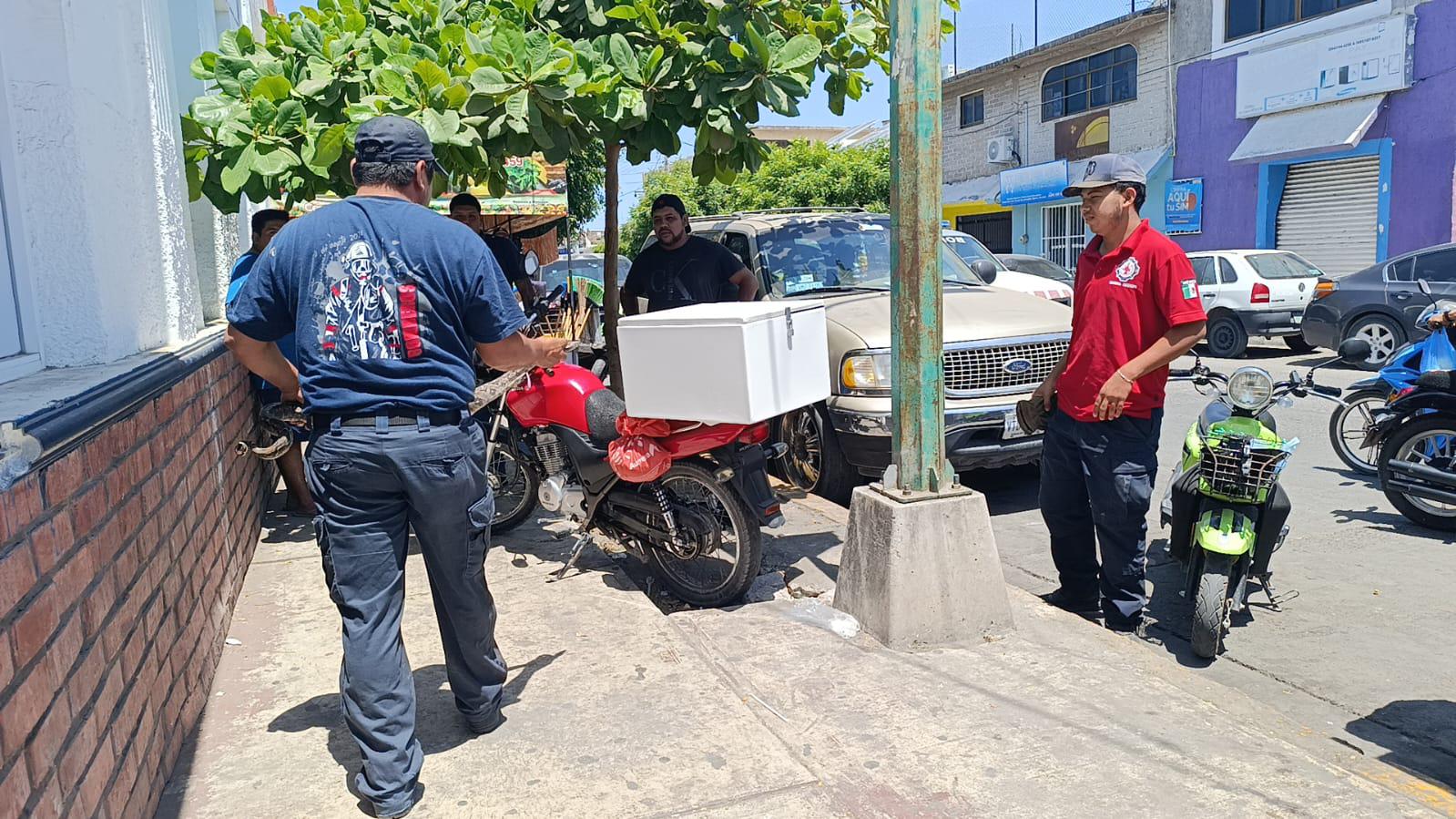 $!Capturan en Escuinapa una culebra ilamacoa cerca del Palacio Municipal