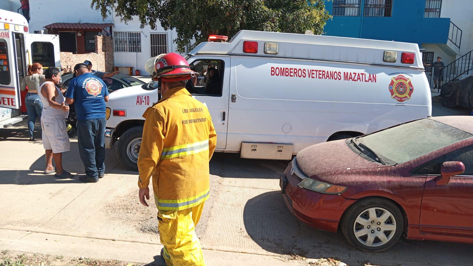 $!Enjambre de abejas ataca a familia en el panteón de Urías en Mazatlán