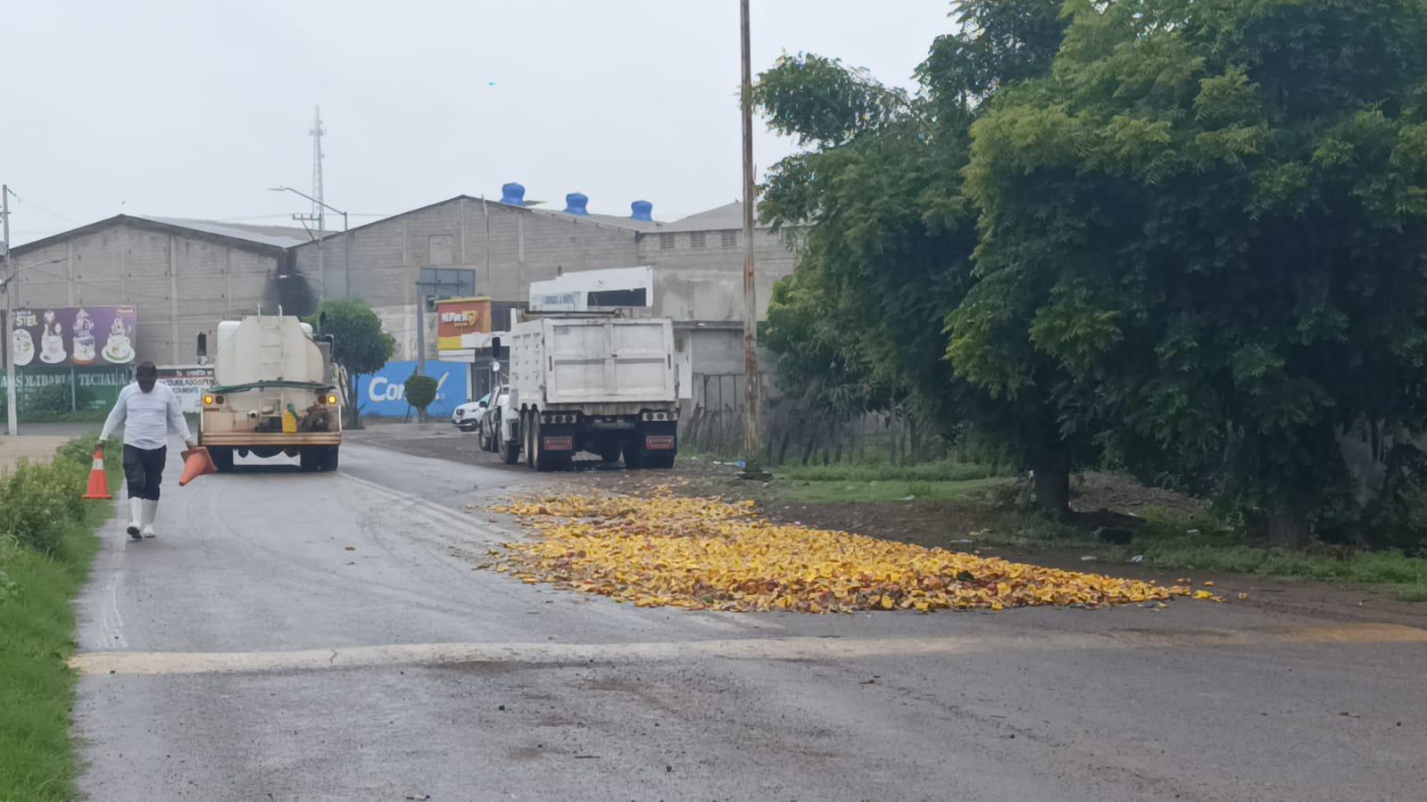 $!Destinan área para desechos de mango en el Basurón de Escuinapa