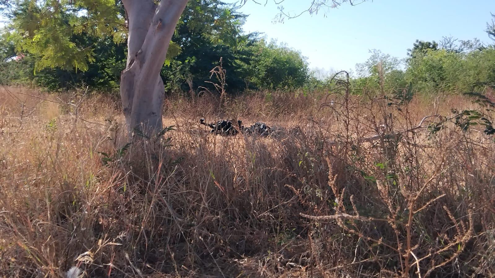 $!Encuentran a dos personas carbonizadas al sur de Culiacán