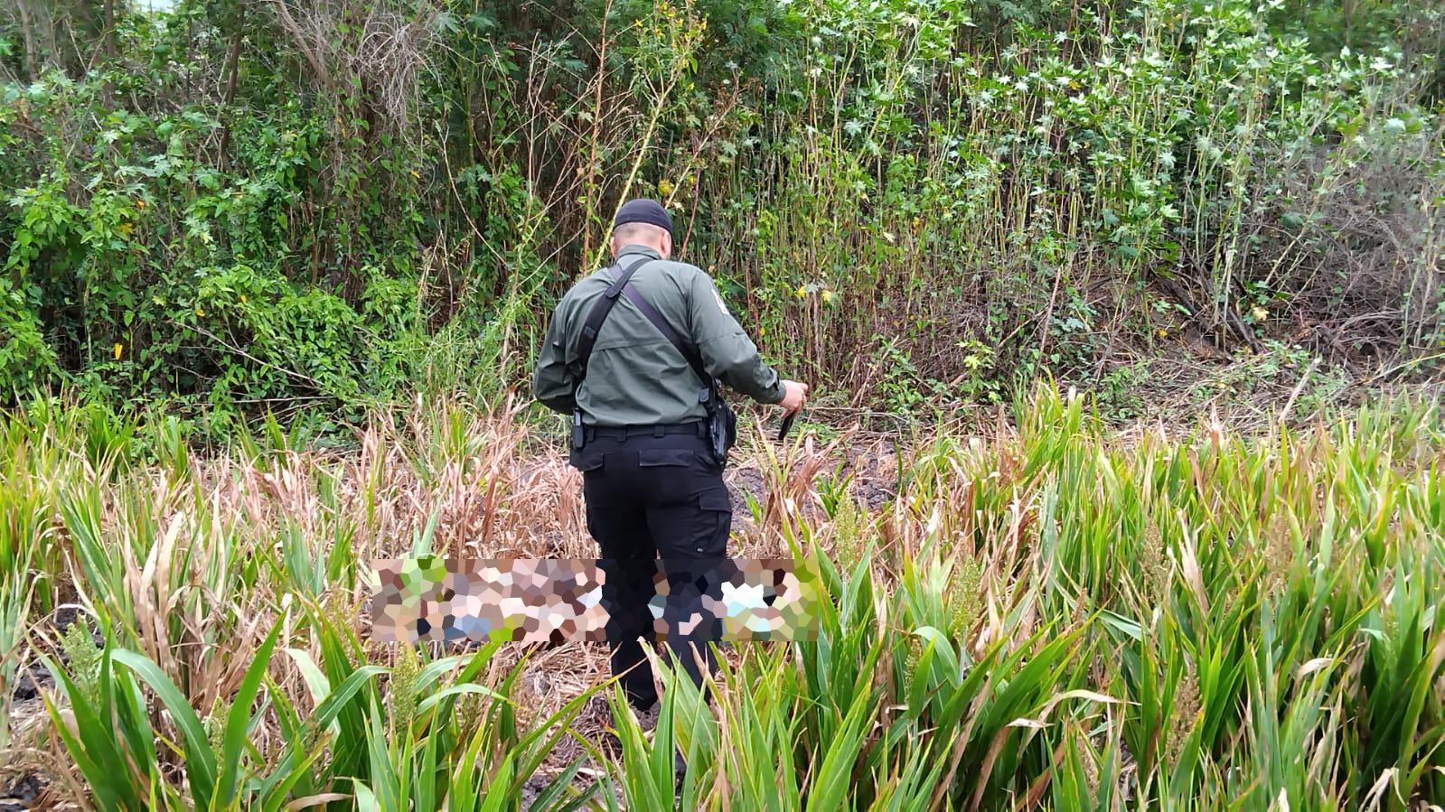 $!Localizan cuerpo en una parcela de sorgo en Costa Rica, Culiacán