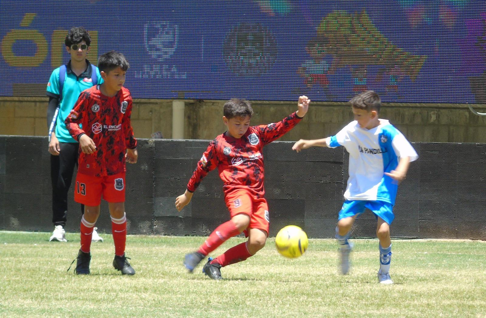 $!Pachuca destaca con 4 títulos en Copa Mazatlán de Futbol 7