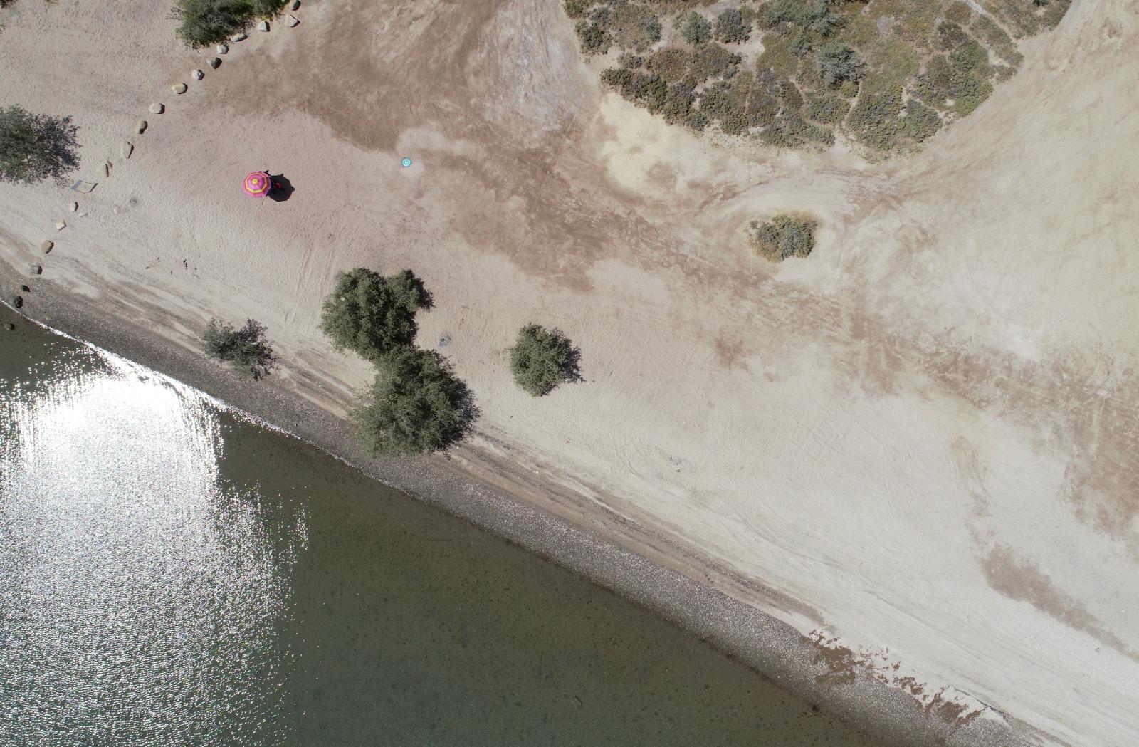 $!Playa y parches de manglar en El Comitán, una comunidad al noroeste de México.