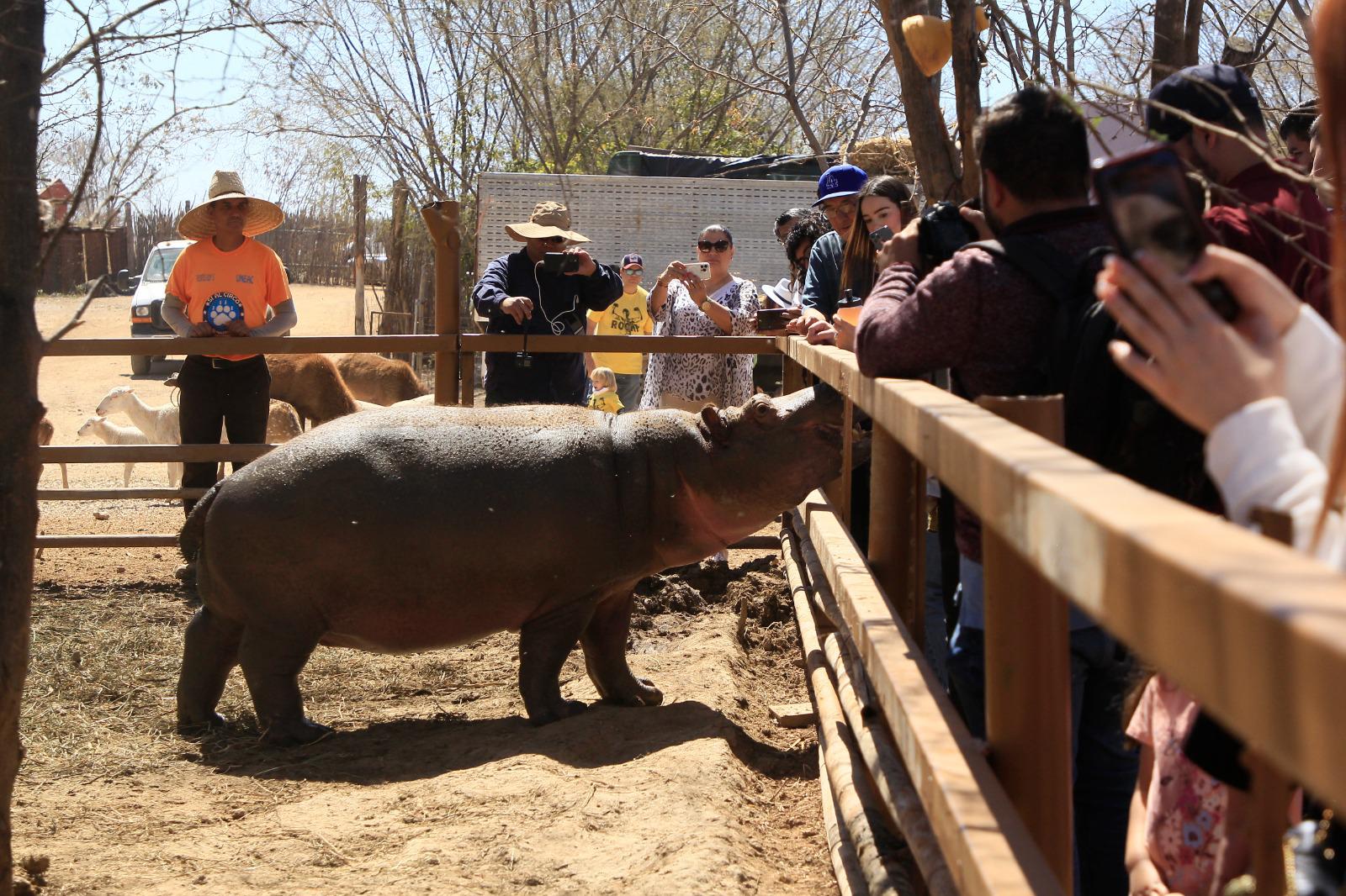 $!Reintegran a 90 animales rehabilitados a su hábitat natural