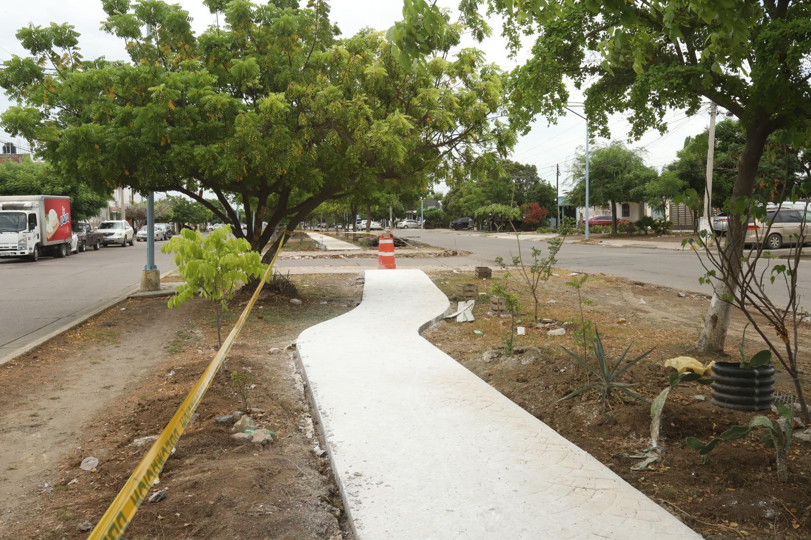 $!Lleva rehabilitación de Avenida Venados un 35% de avance: Alcalde