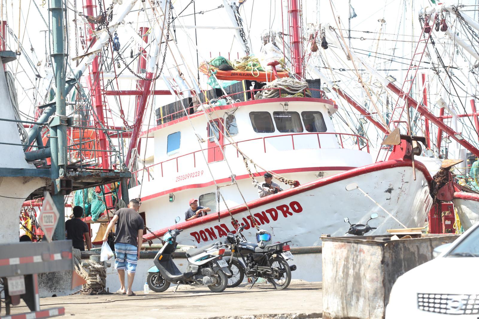 $!Pescadores alistan embarcaciones camaroneras para el final de la veda