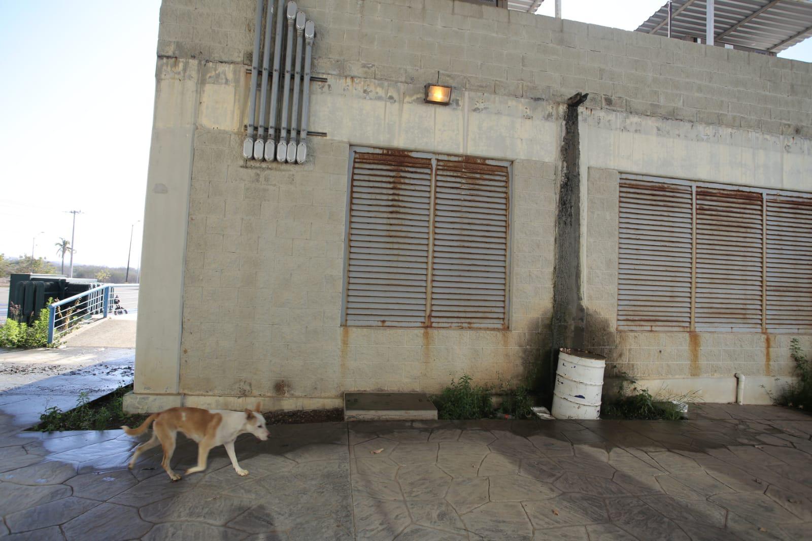 $!El Centro de Usos Múltiples, en Mazatlán, luce abandonado en la actualidad