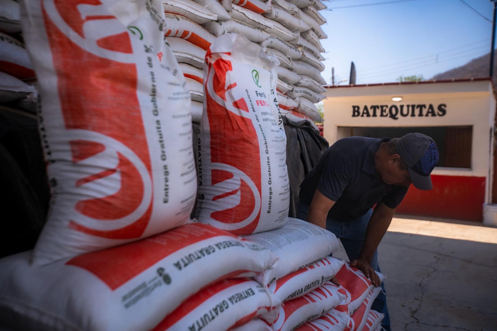 $!Arranca en Sinaloa programa federal Fertilizantes para el Bienestar