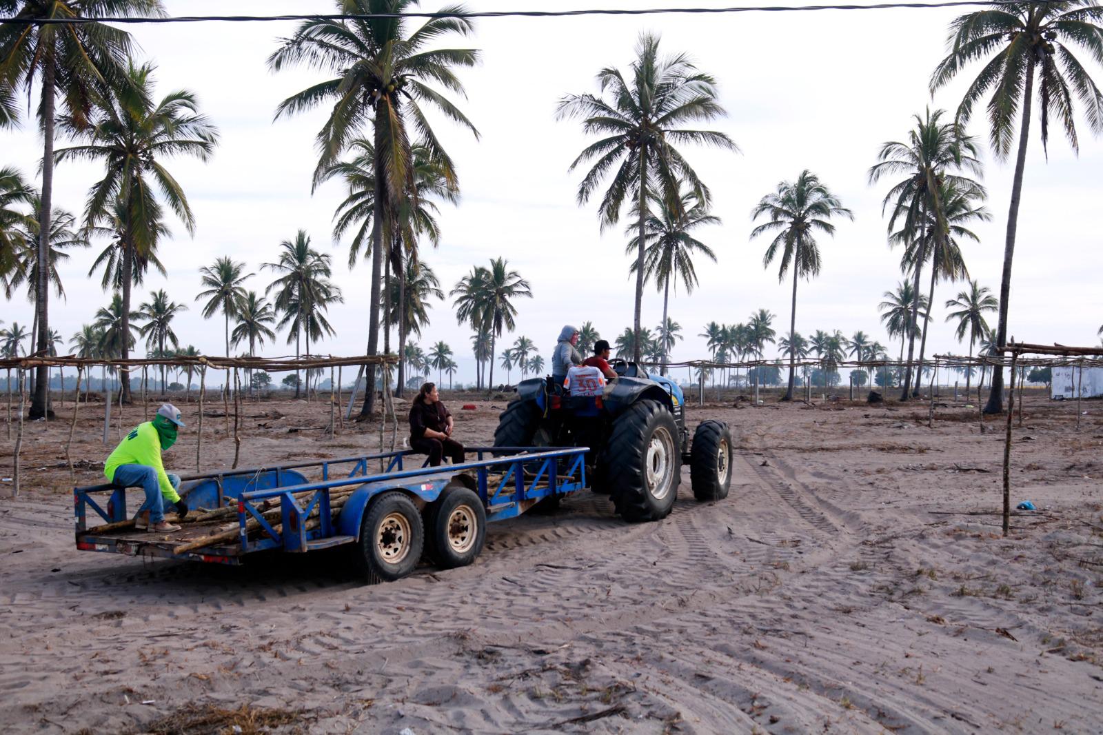 $!Avanza construcción de enramadas para Fiesta del Mar de las Cabras 2023