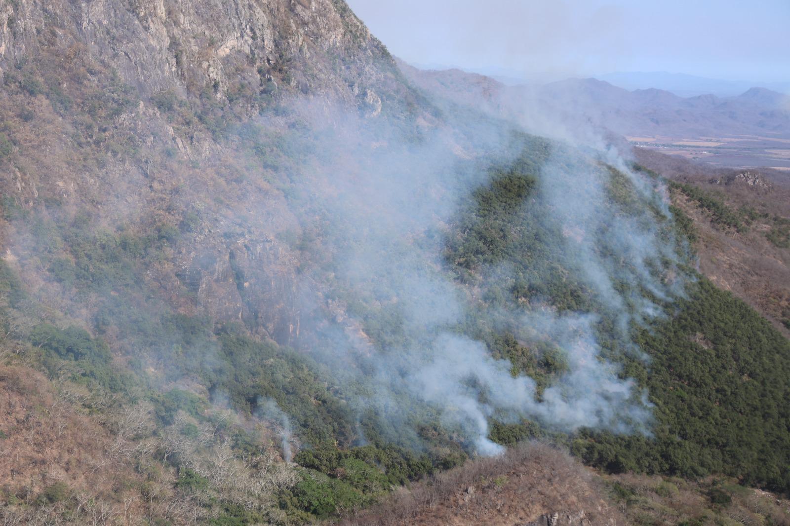 $!Más de 130 personas combaten incendio forestal en la sierra de Elota