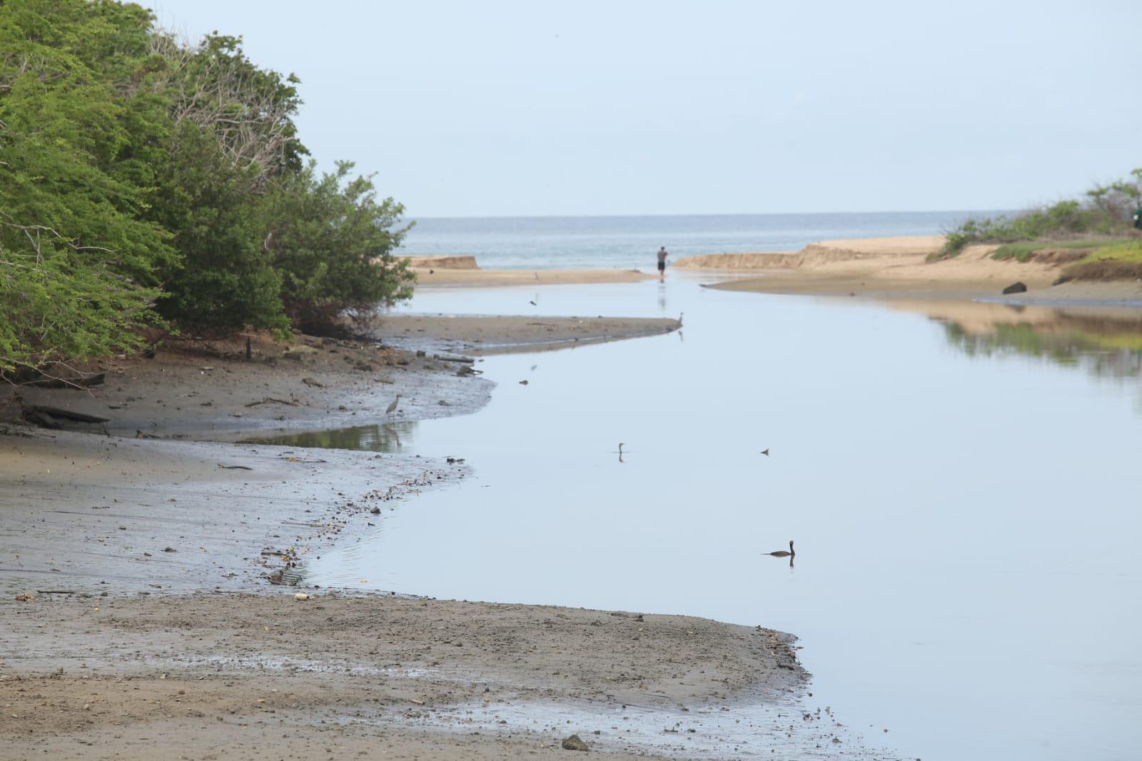 $!De continuar la contaminación en el Estero del Yugo, playas de Mazatlán no serán aptas para bañistas: Sofía Trejo