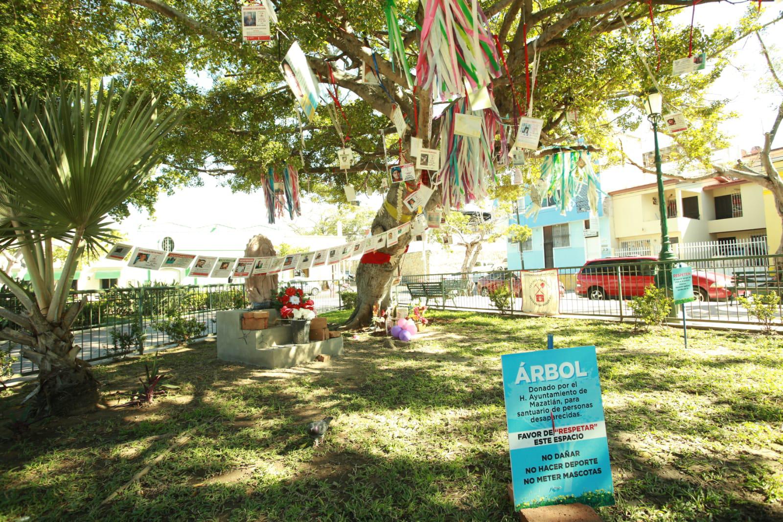 $!El Árbol de la Esperanza en la Plazuela Zaragoza.