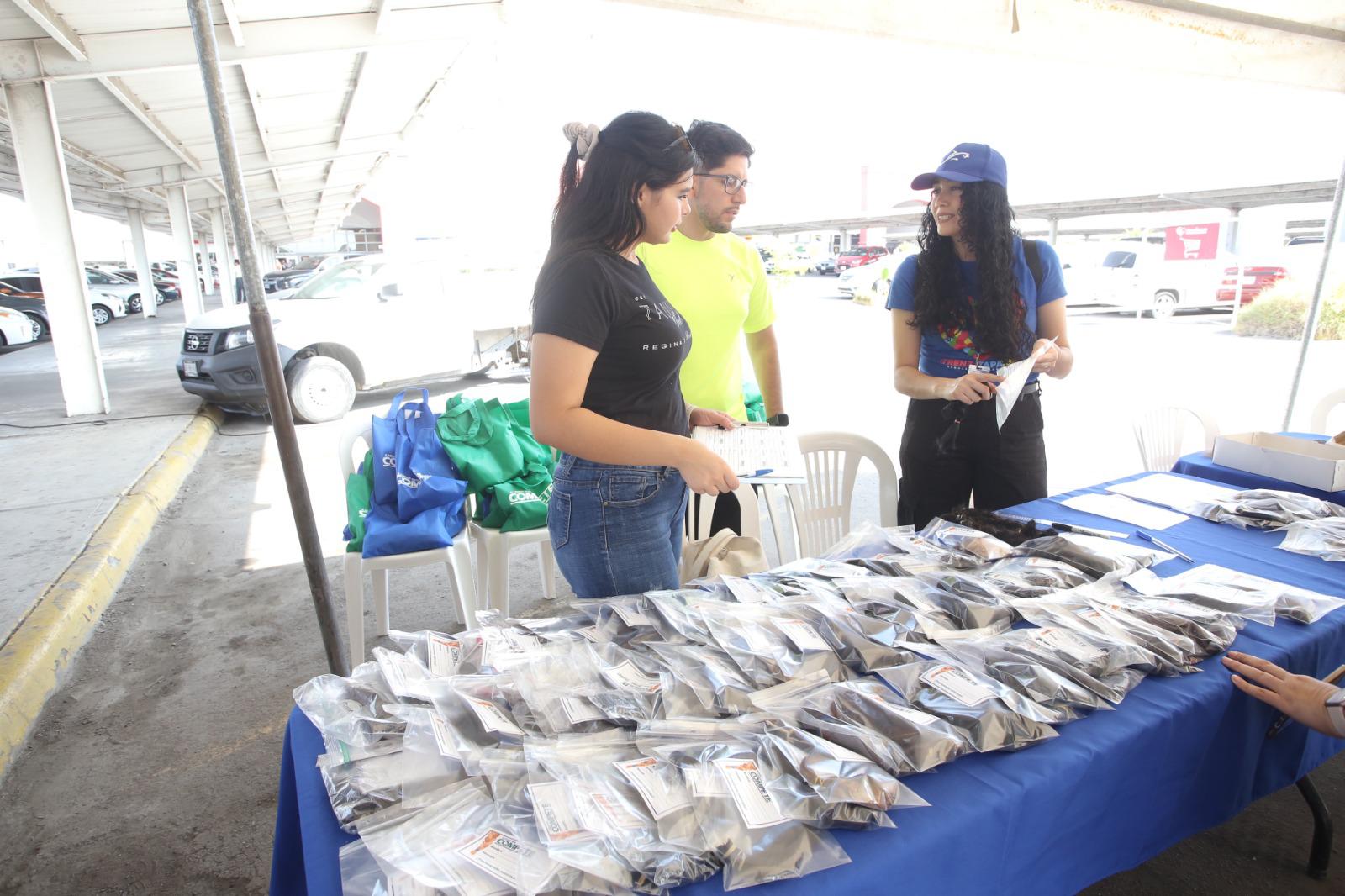 $!Celebran el Trenzatapatón en Mazatlán; buscan recolectar 200 trenzas y una tonelada de tapitas