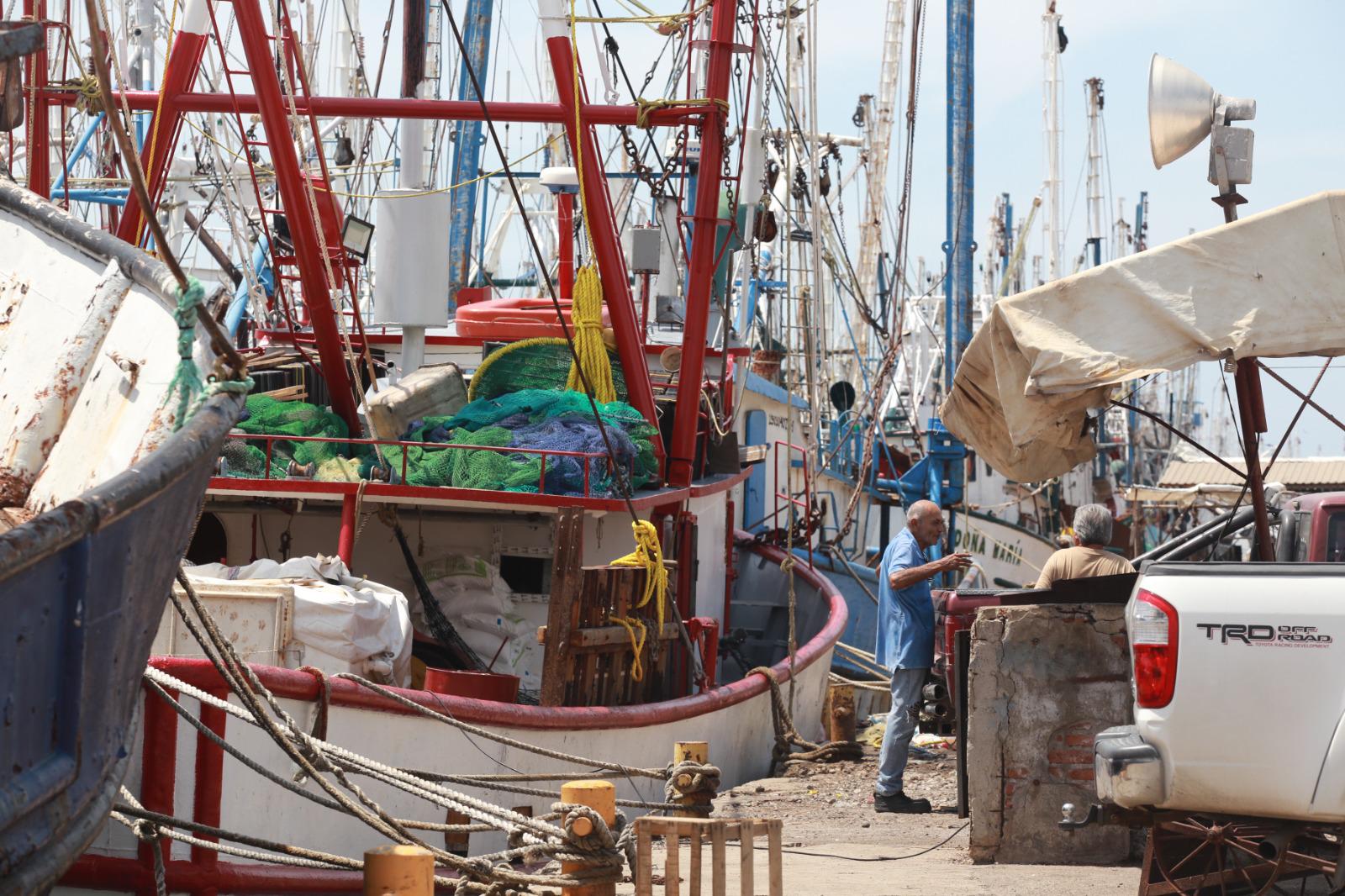 $!Están listos los barcos camaroneros de Mazatlán para iniciar las capturas