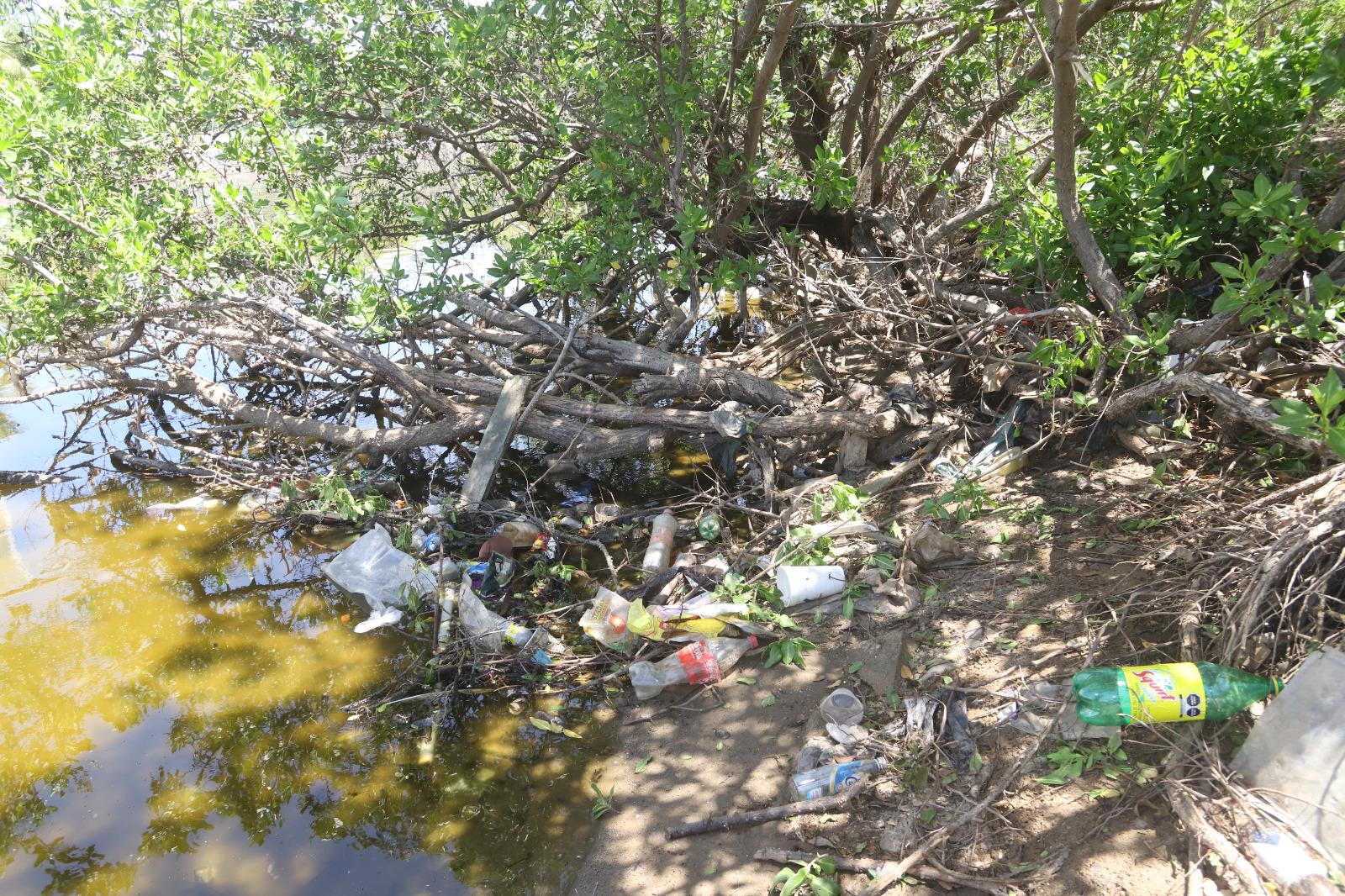 $!Tiran todo tipo de basura en el Estero del Yugo, en Mazatlán