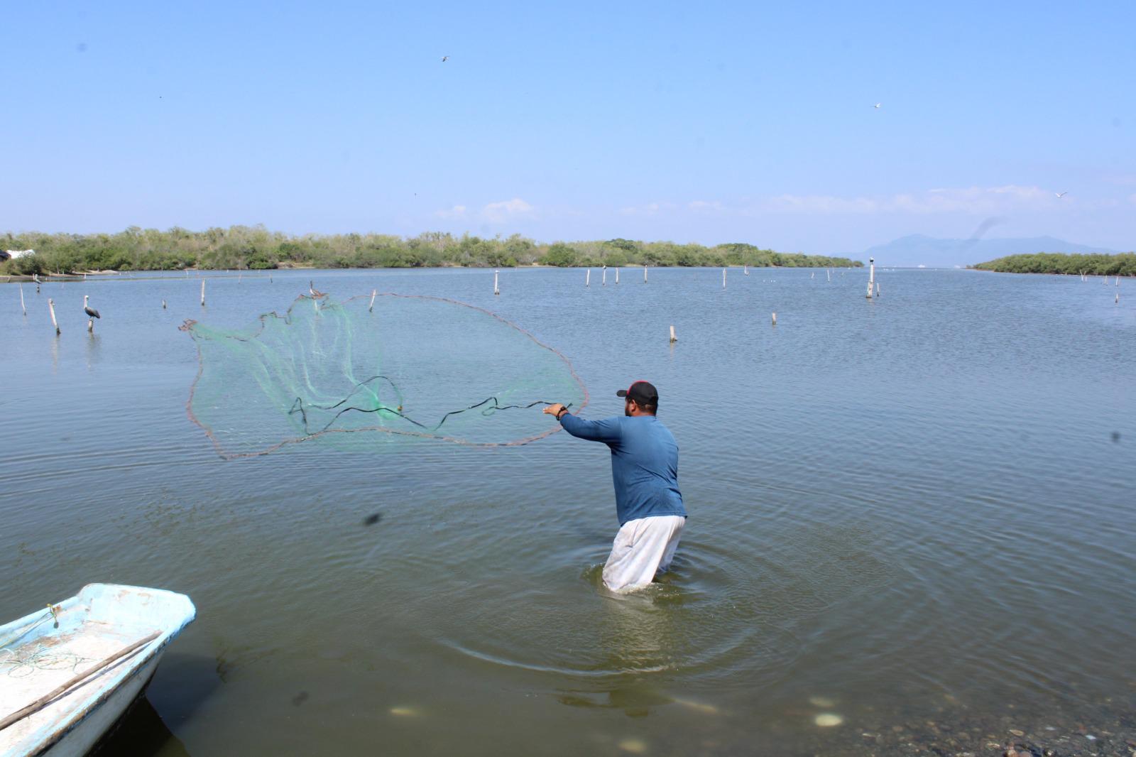 $!Comisión de Pesca en el Congreso del Estado está al tanto de la situación del sur: Dirigente