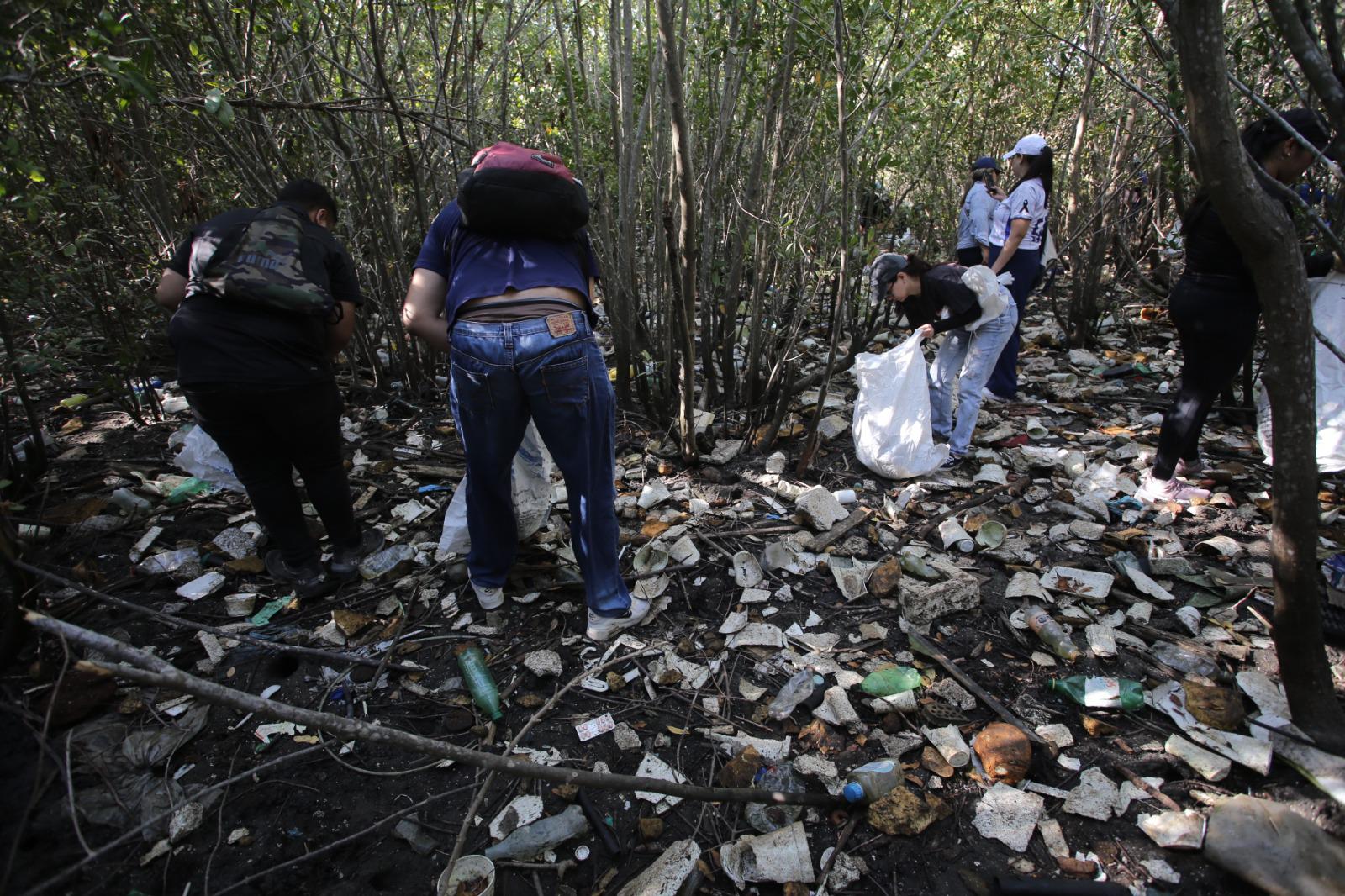 $!Limpian isla cubierta de basura en el canal de navegación, en Mazatlán