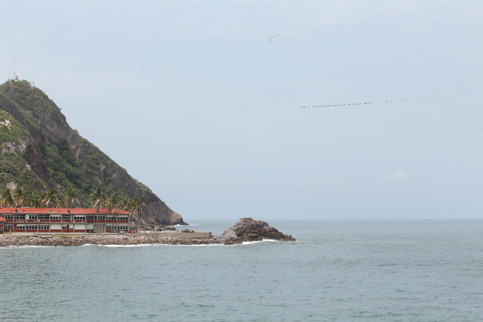 $!Aves ahora tienen otro sitio para descansar y son los cables de la tirolesa