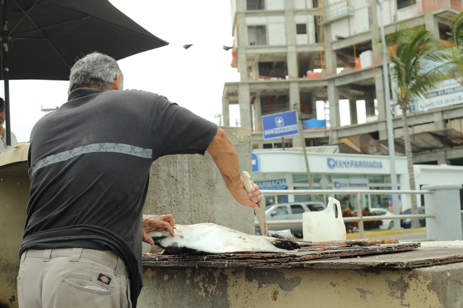 $!Viven pescadores de Playa Norte una temporada complicada ante escasez de producto