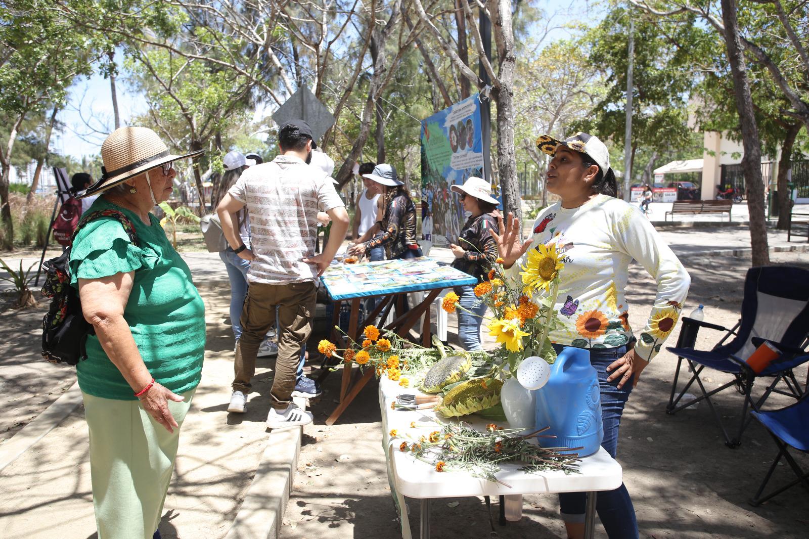 $!Celebra Son Playas quinto aniversario con Expo Ambiental, en el Parque Central