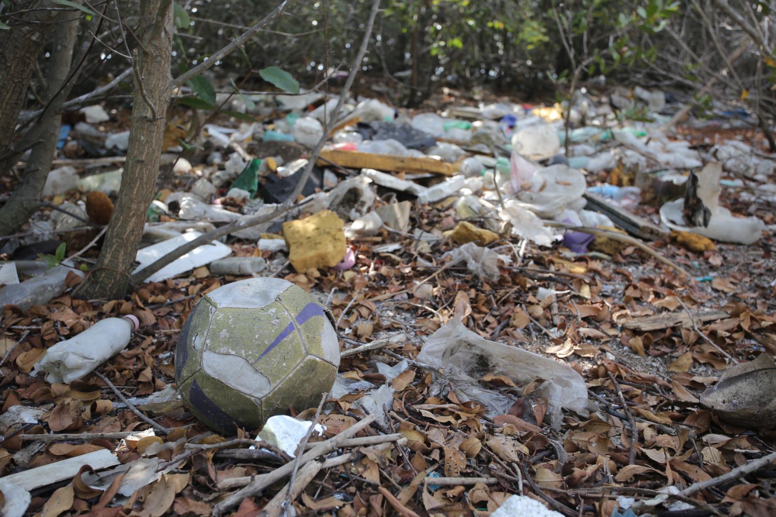 $!Limpian isla cubierta de basura en el canal de navegación, en Mazatlán