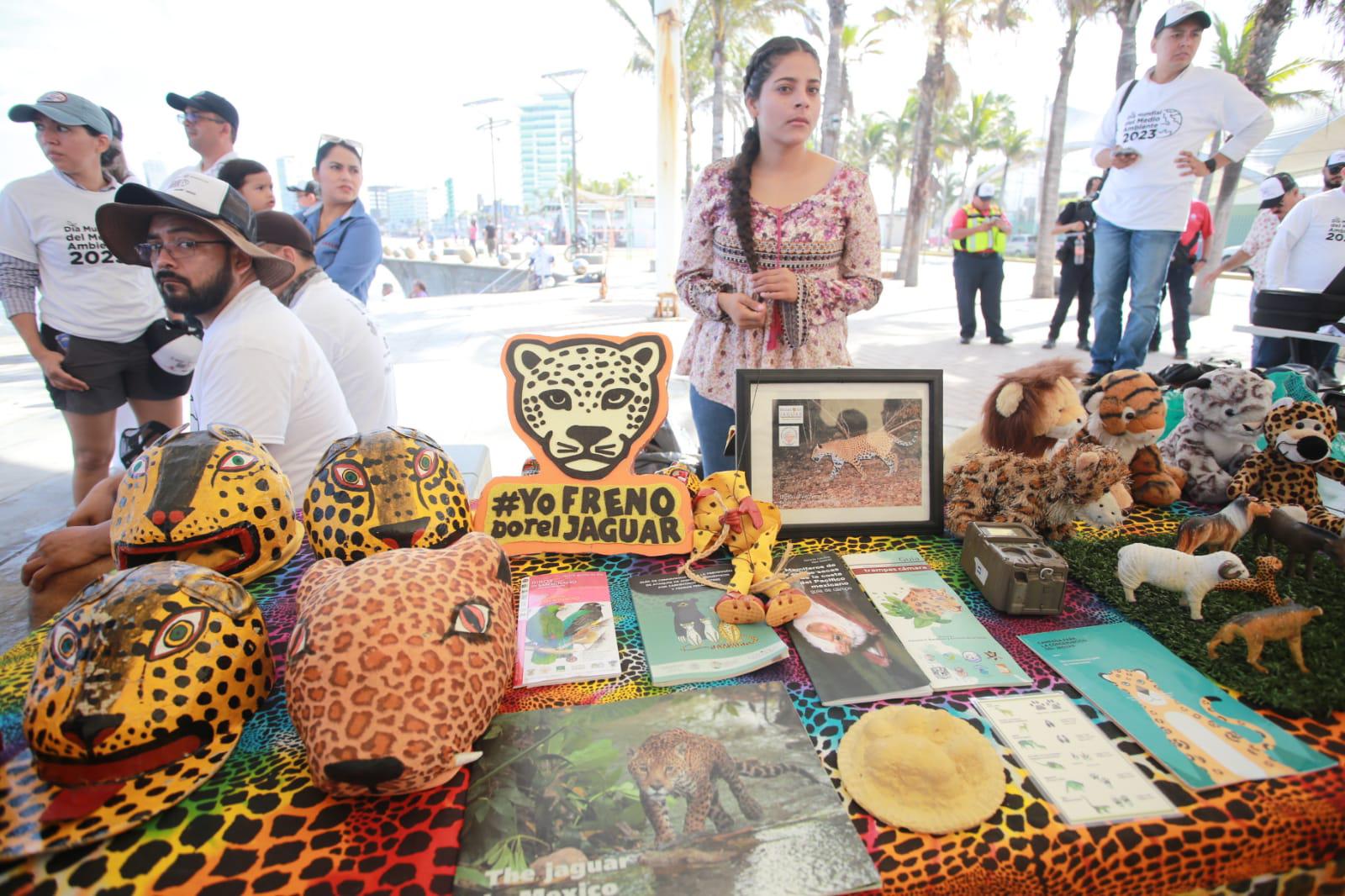 $!Limpian playas de Mazatlán para concientizar en Día del Medio Ambiente