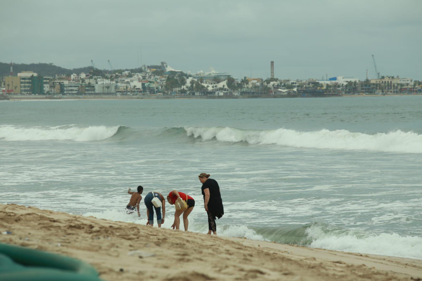 $!Vigilarán Monitores Ambientales zonas de playa de Mazatlán