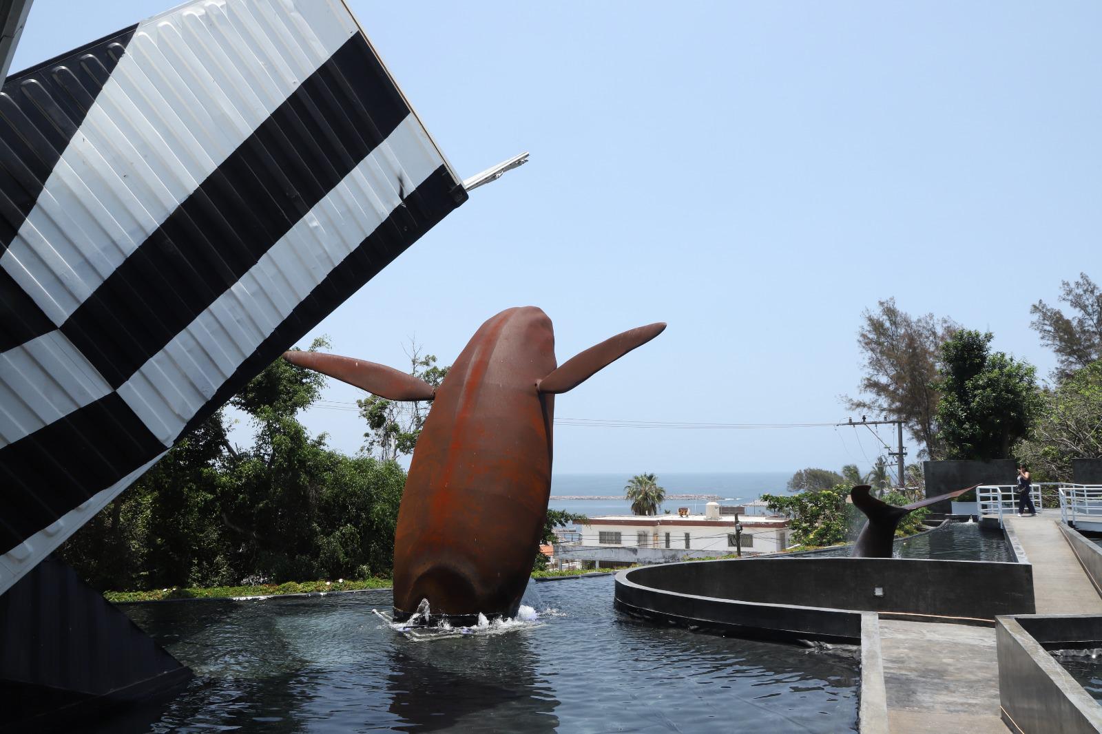 $!Presentan el Museo Nacional de la Ballena en Mazatlán