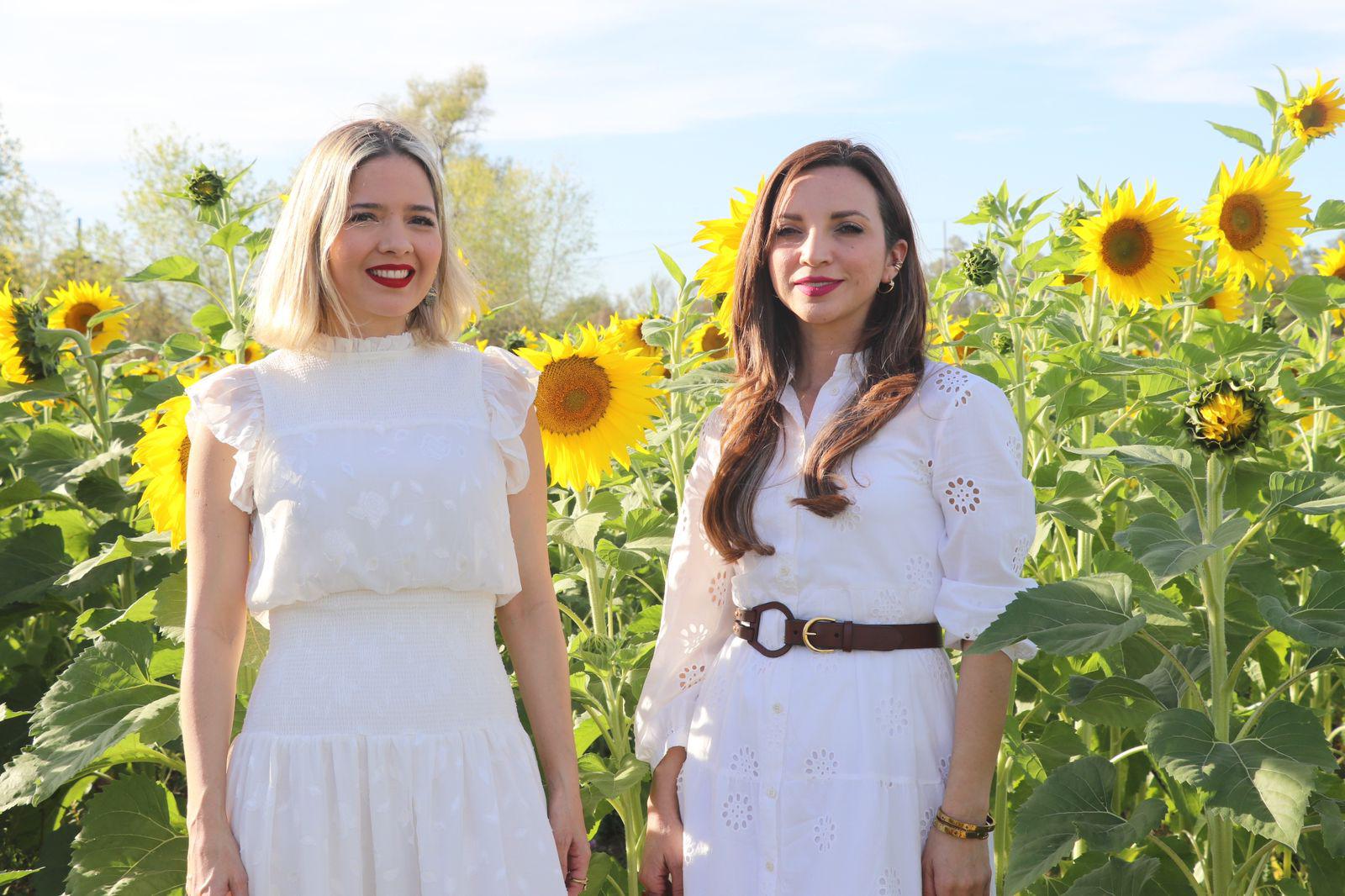 $!Llega la primavera al campo de girasoles en Mocorito; abren visitas