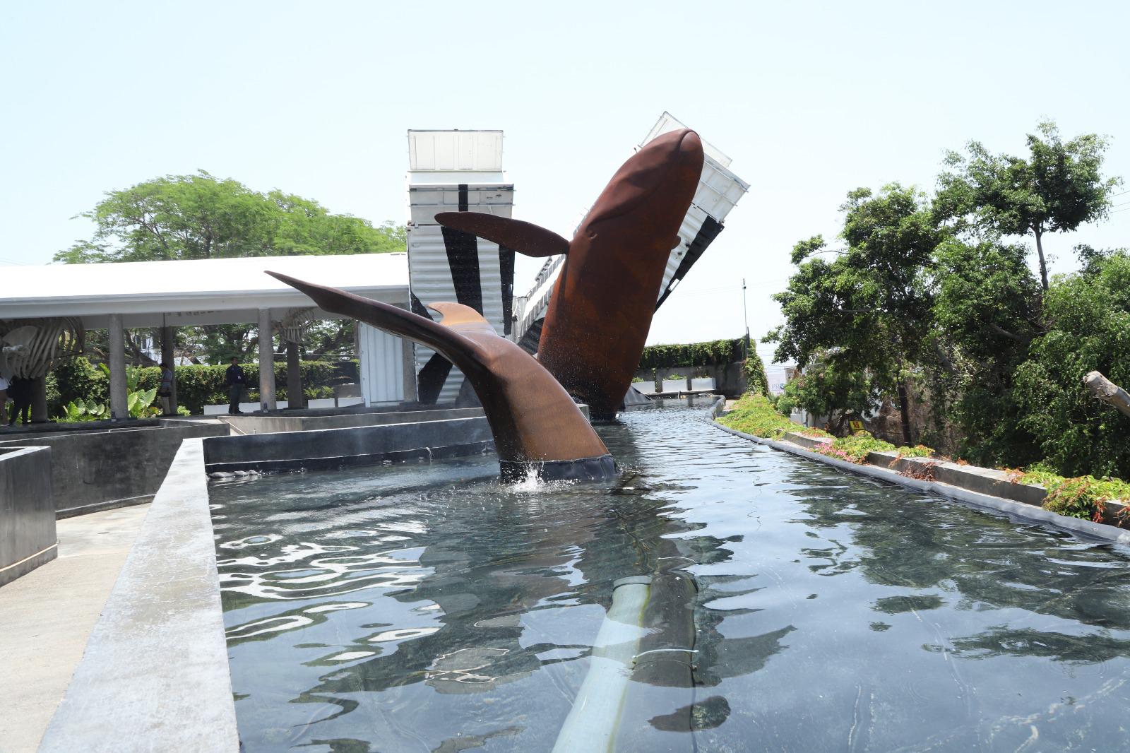 $!Presentan el Museo Nacional de la Ballena en Mazatlán